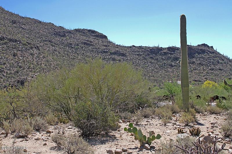 Canyon Pass At Dove Mountain(1-48) - Land