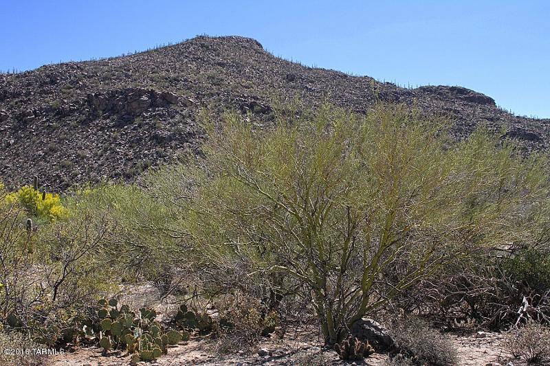 Canyon Pass At Dove Mountain(1-48) - Land