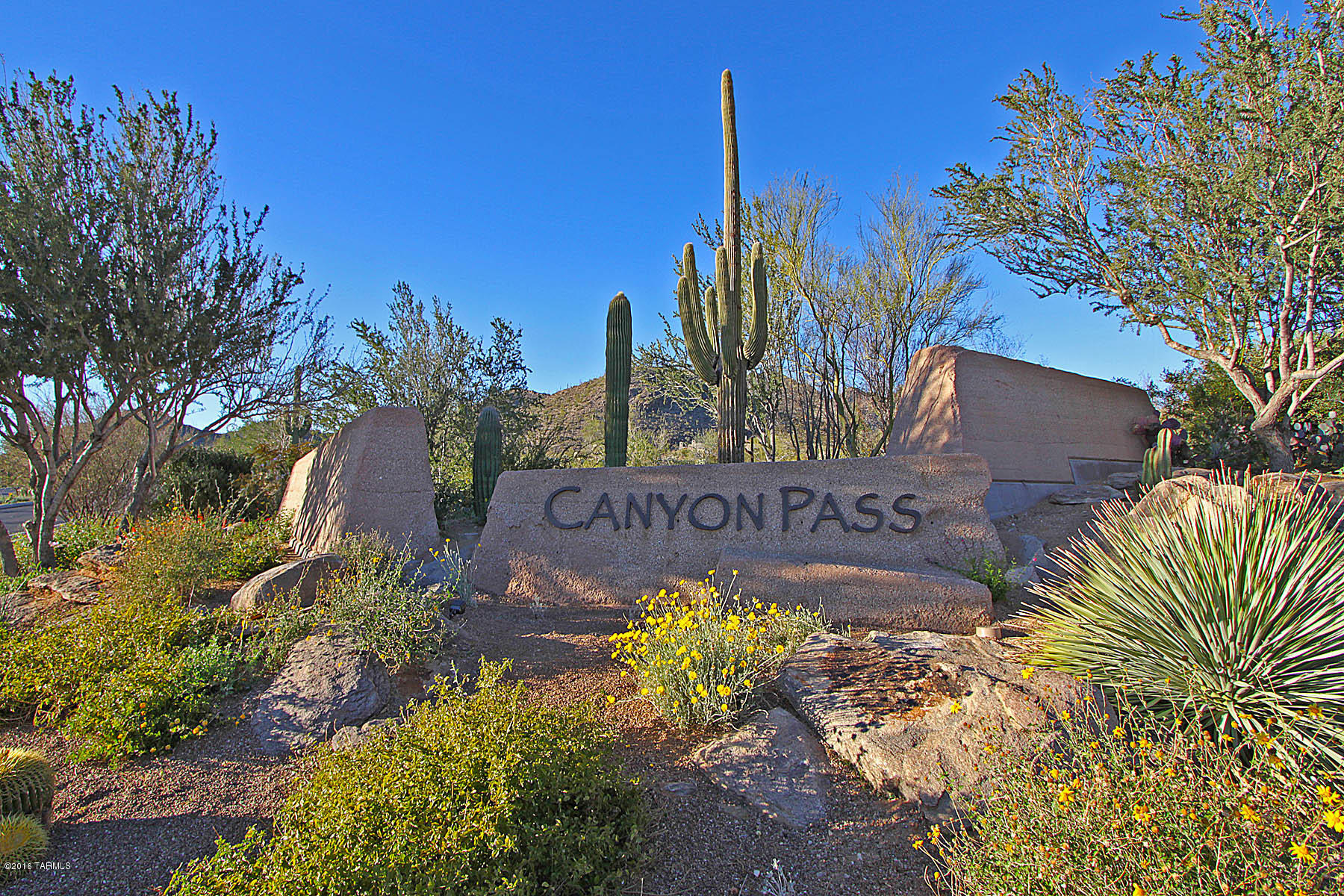 Canyon Pass At Dove Mountain(1-48) - Land