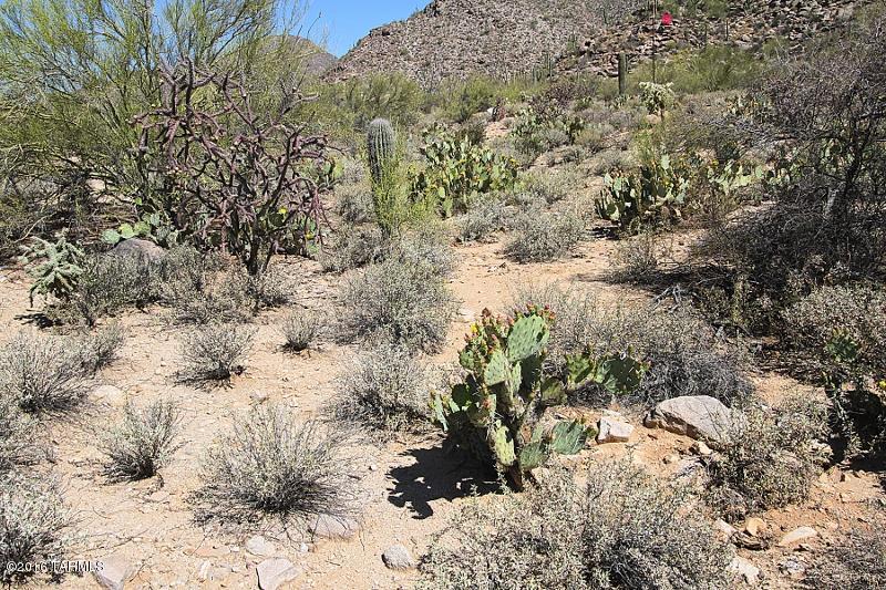 Canyon Pass At Dove Mountain(1-48) - Land