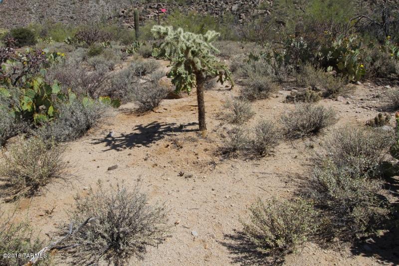 Canyon Pass At Dove Mountain(1-48) - Land