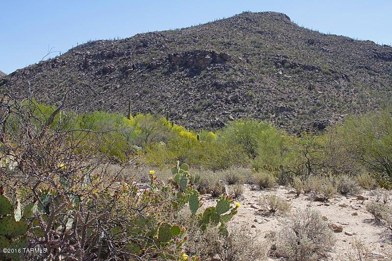 Canyon Pass At Dove Mountain(1-48) - Land