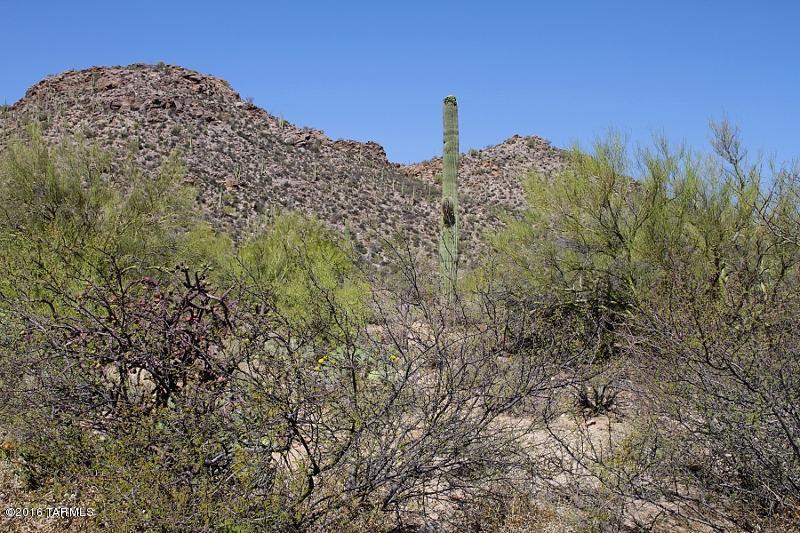 Canyon Pass At Dove Mountain(1-48) - Land