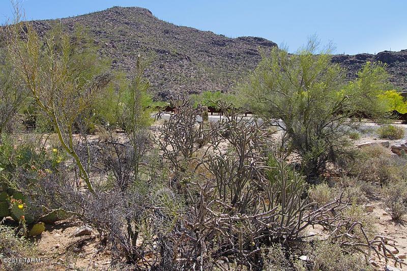 Canyon Pass At Dove Mountain(1-48) - Land