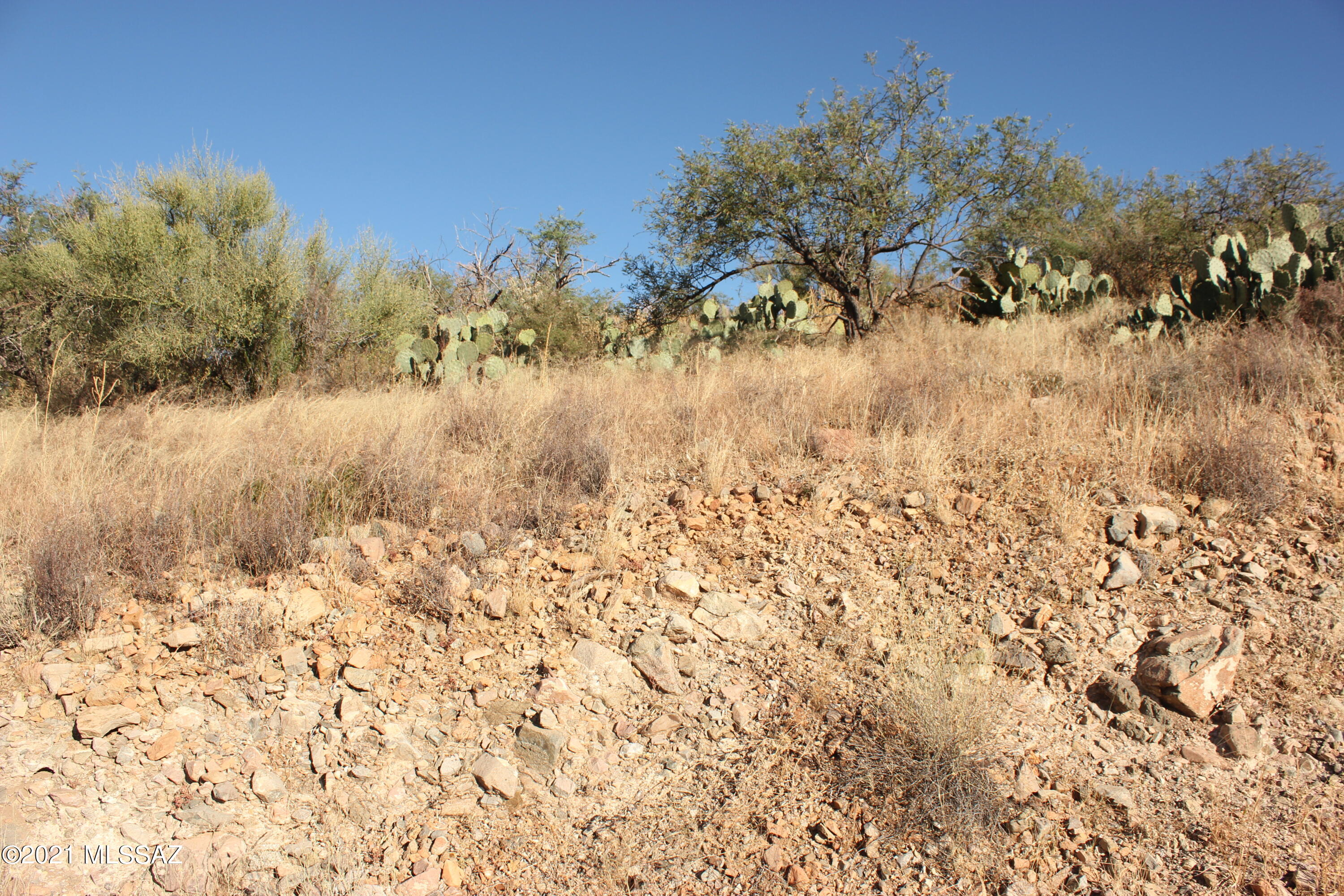 Rio Rico Ranchettes 17 - Land