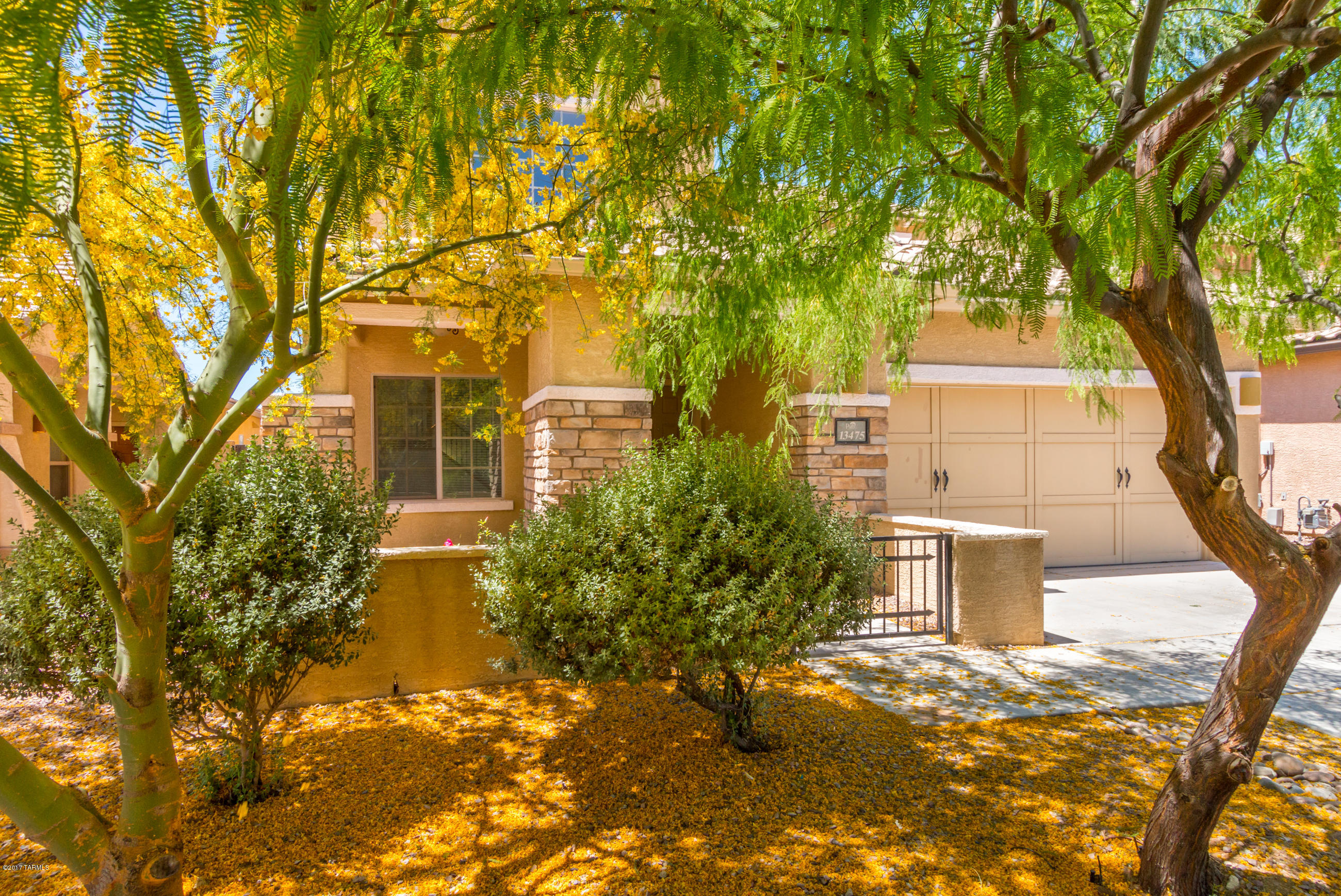 Rancho Vistoso Neighborhood 10 - Residential