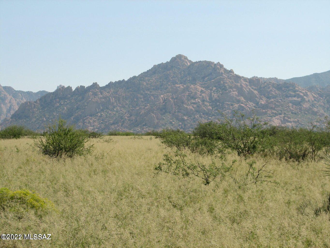 Breathtaking, panoramic views !  View four mountain ranges, the Dragoons, the Whetstones, the Rincons and the Huachucas!  Property has a 820 ft capped well, electric at the corner and perimeter is fully fenced in four strand barbed wire.  Ready for your new home !  Just wait till you see the full moon rising over the Dragoons!!