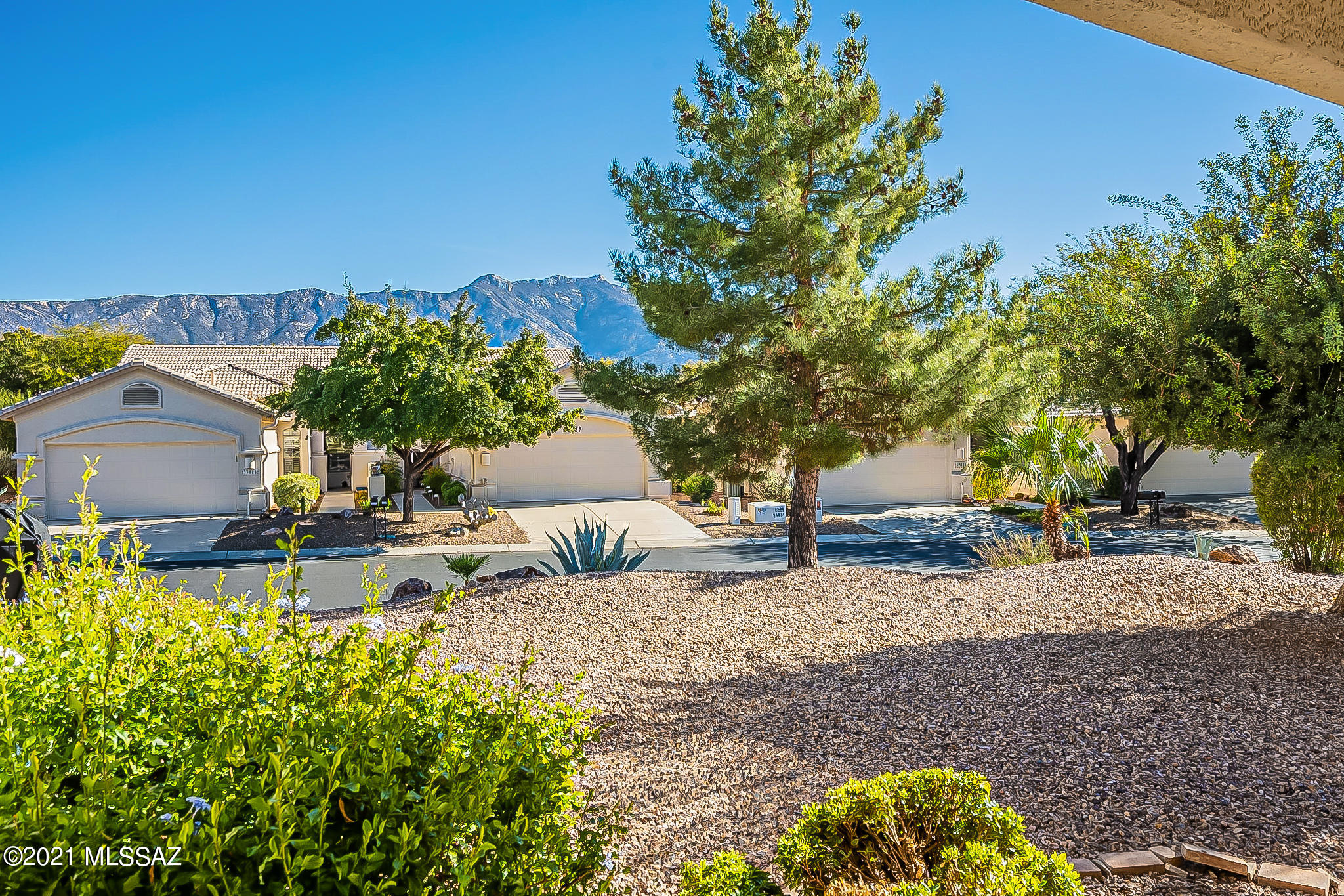 Saddlebrooke - Residential