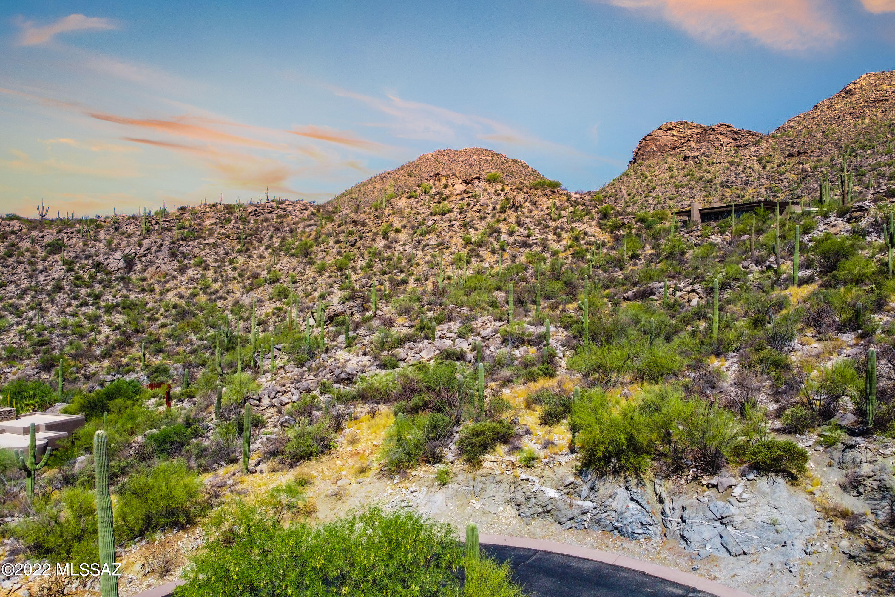 Canyon Pass II At Dove Mountain (49-110) - Land