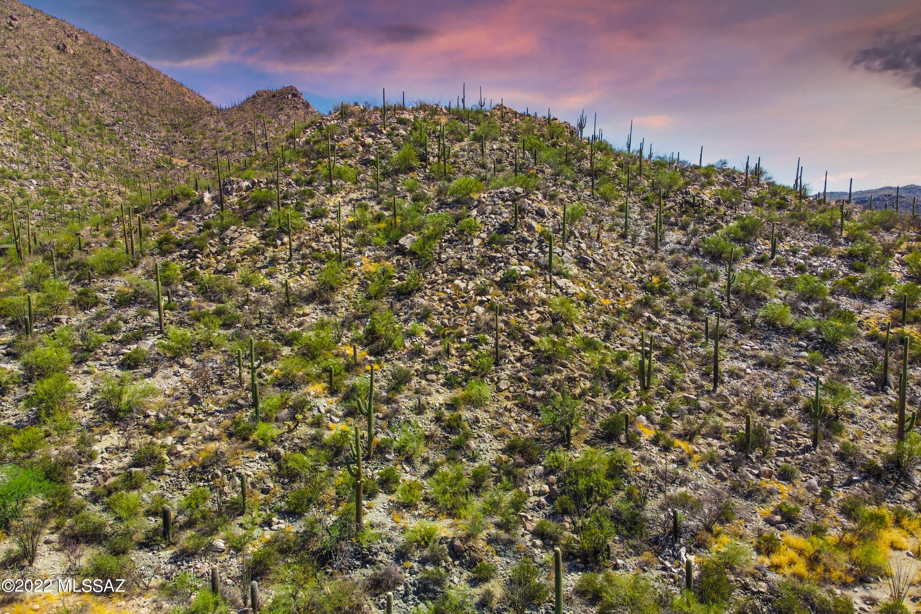 Canyon Pass II At Dove Mountain (49-110) - Land