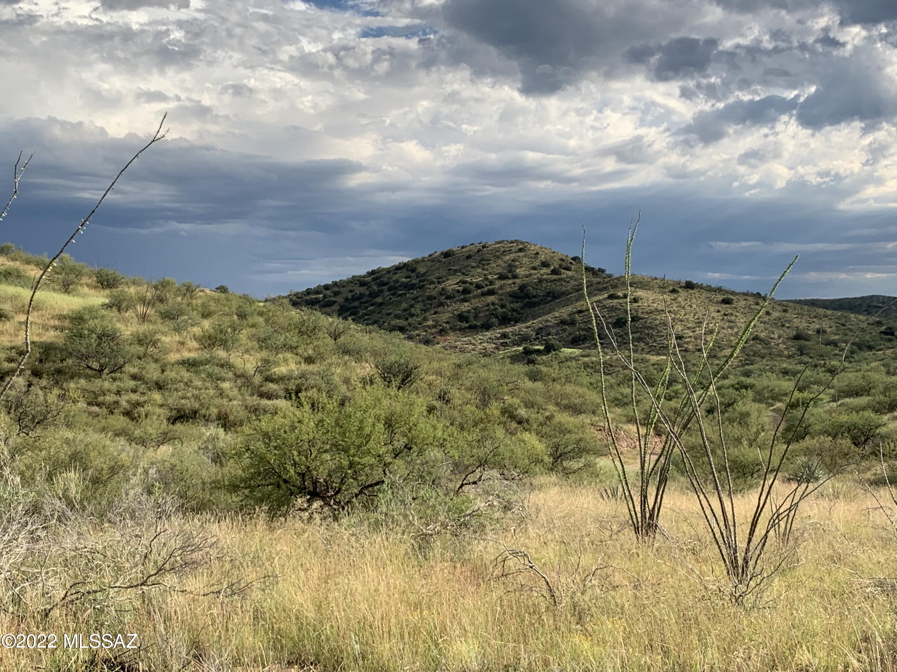 Only 1/2 mile to paved Old Sonoita Hwy! Easy access yet super private. Rolling acreage with fantastic views of the surrounding Empire and Santa Rita Mtns. Elevation is 3760ft - cooler than Tucson! Most of the west half of the property is flat. Imagine your custom or manuf home here! Horses OK! Wine country 1/2 hour south!