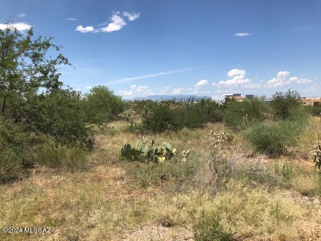 Excellent location just south of Houghton Rd./Camino Del Toro.  1.25 acre lot with CR-1 zoning.  No manufactured homes allowed.  Irregular shape with 320 feet of frontage on Houghton Road.  Currently no vehicle access on to lot.  No City of Tucson Water service immediately available.  Possibly need to haul water or drill well.  No sewer available; a septic system would need to be installed.  Enjoy wonderful desert, mountain and sunset views plus award-winning Vail public schools.