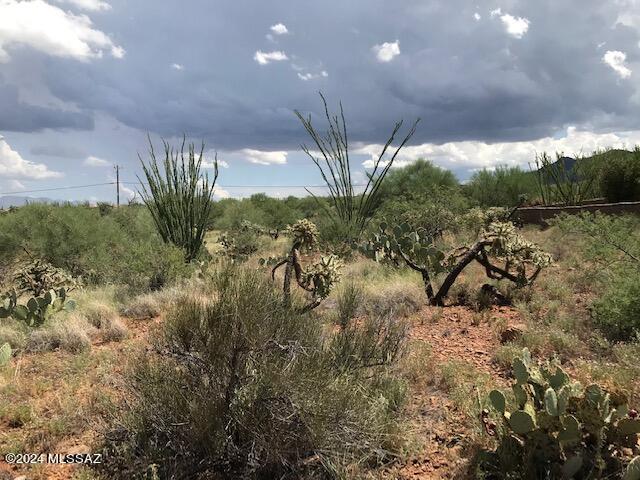 New Tucson Unit NO. 6 (1-75) - Land