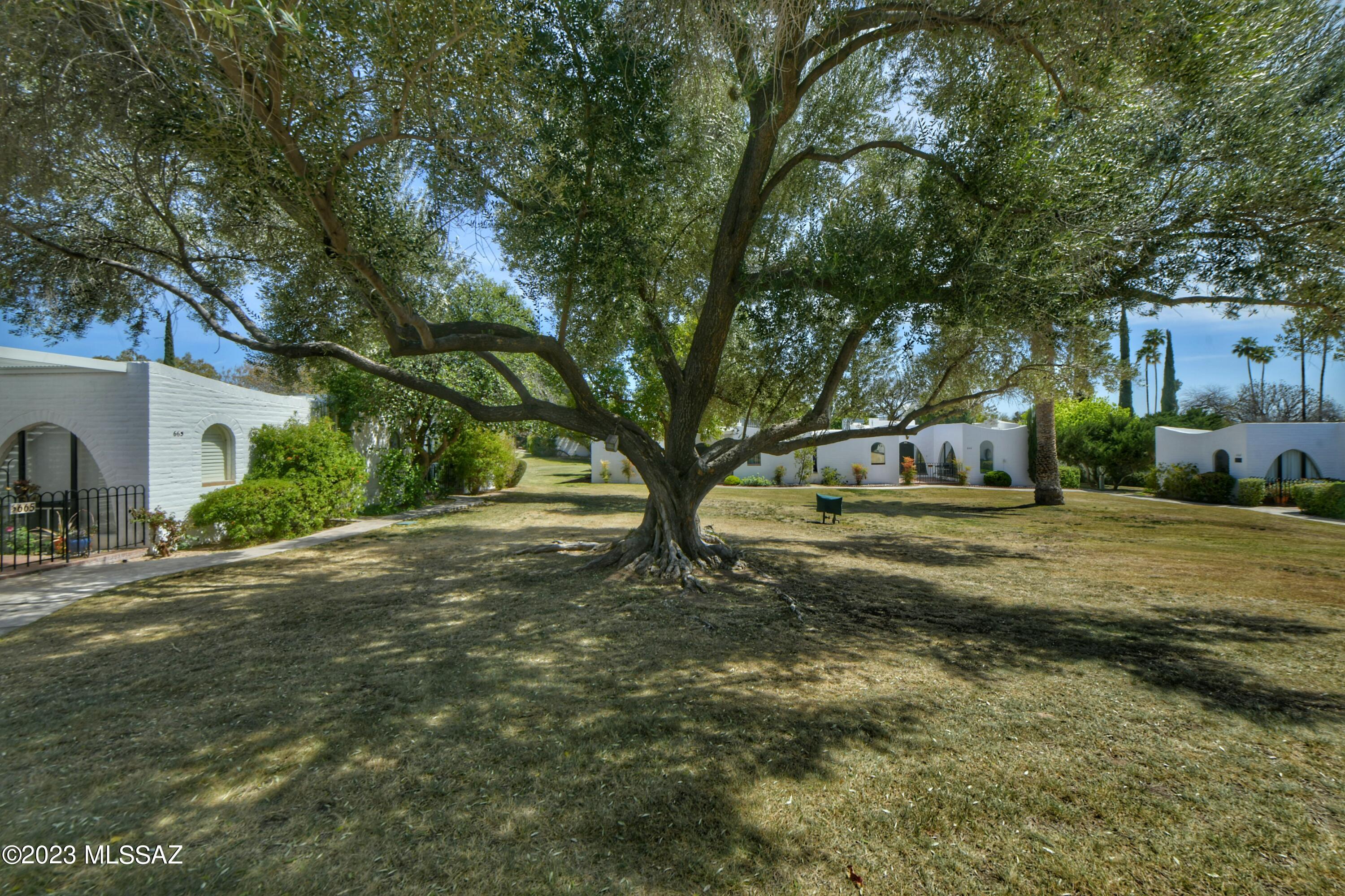 Las Lomitas (1) - Residential