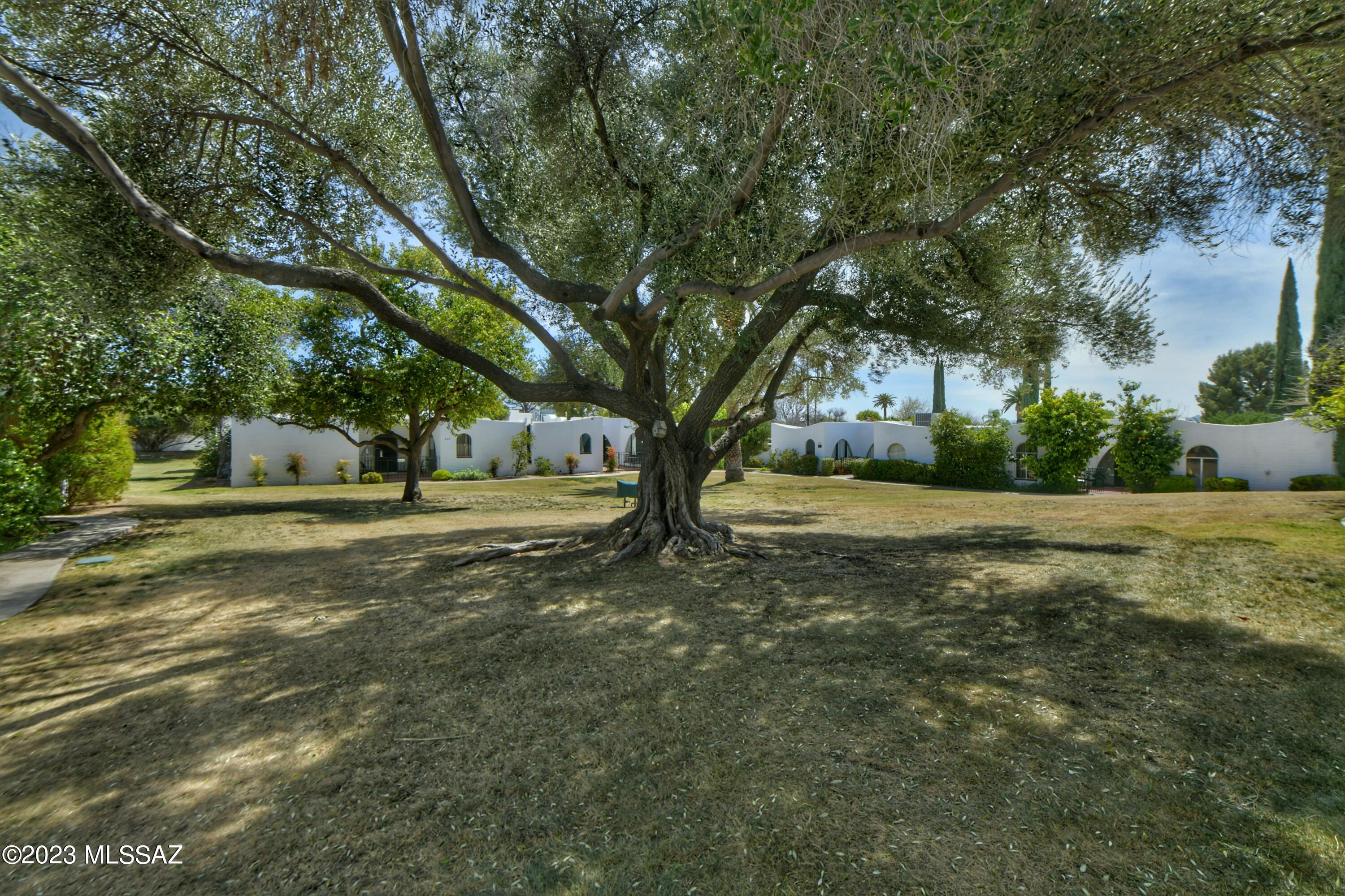 Las Lomitas (1) - Residential