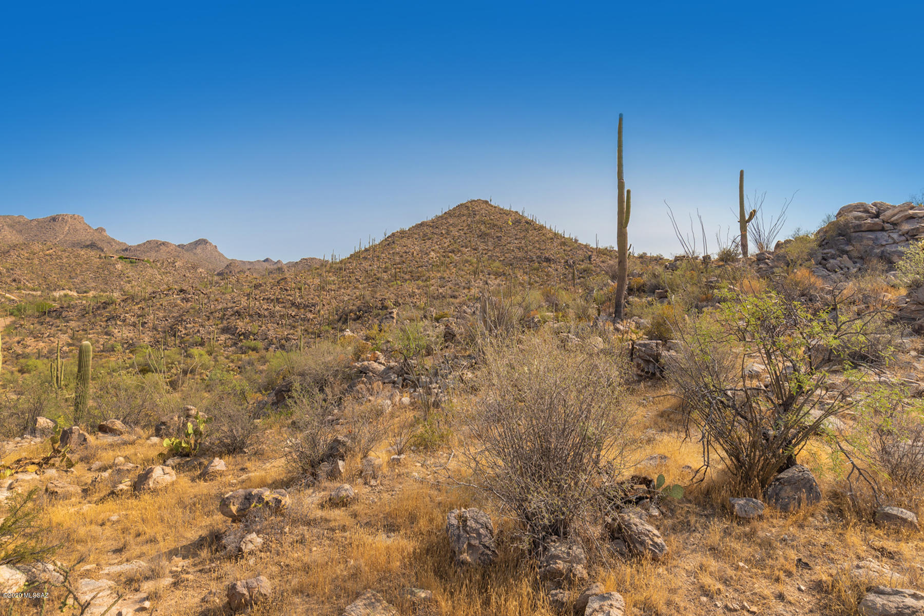 Saguaro Ranch (9-52) Blks. 1-4 - Land