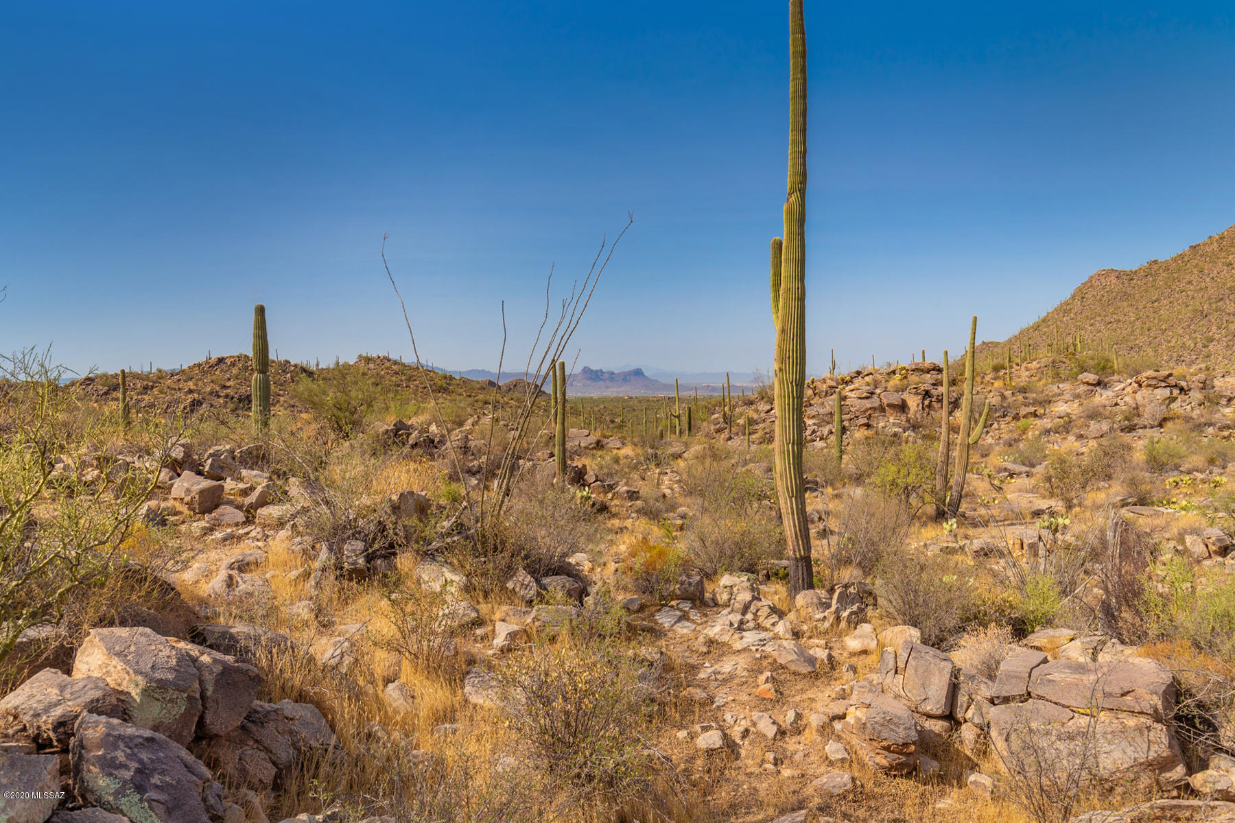Saguaro Ranch (9-52) Blks. 1-4 - Land