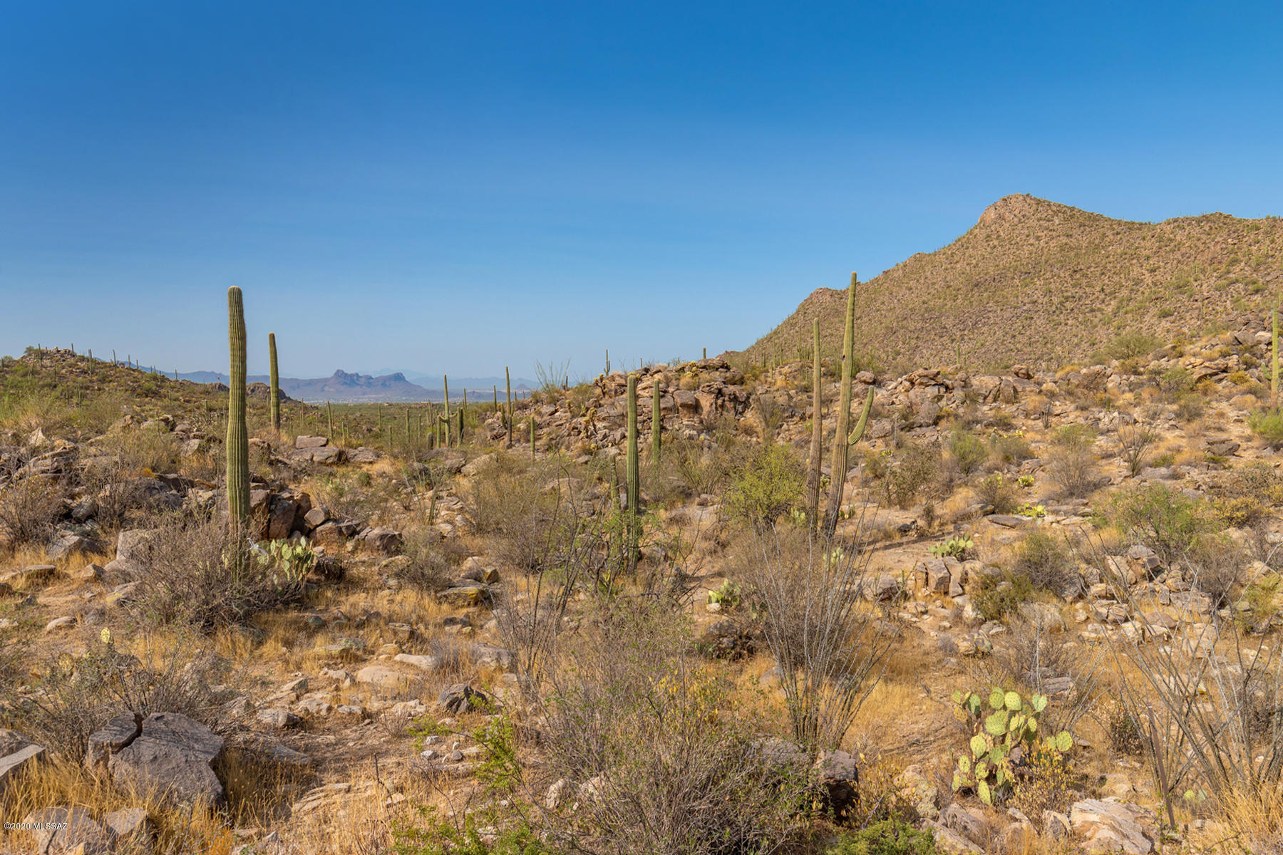Saguaro Ranch (9-52) Blks. 1-4 - Land