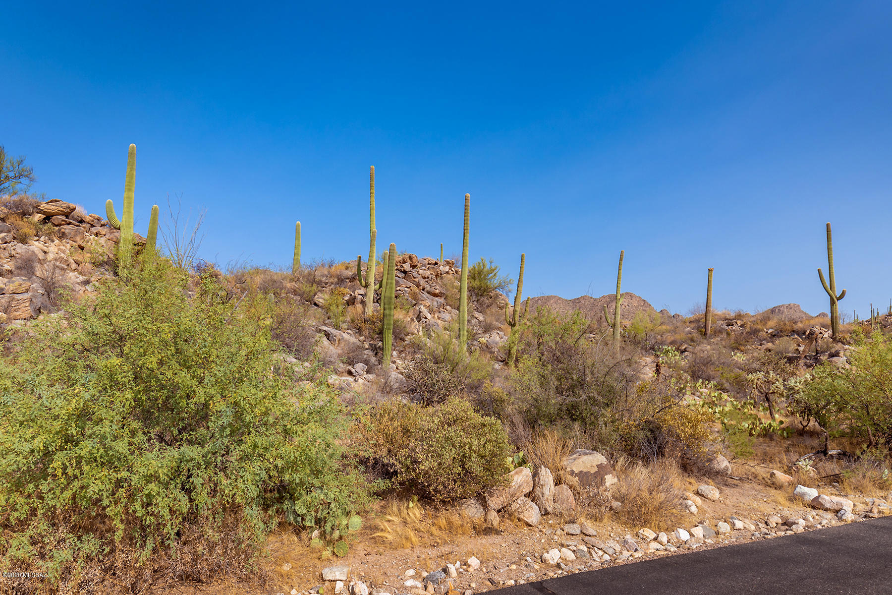 Saguaro Ranch (9-52) Blks. 1-4 - Land