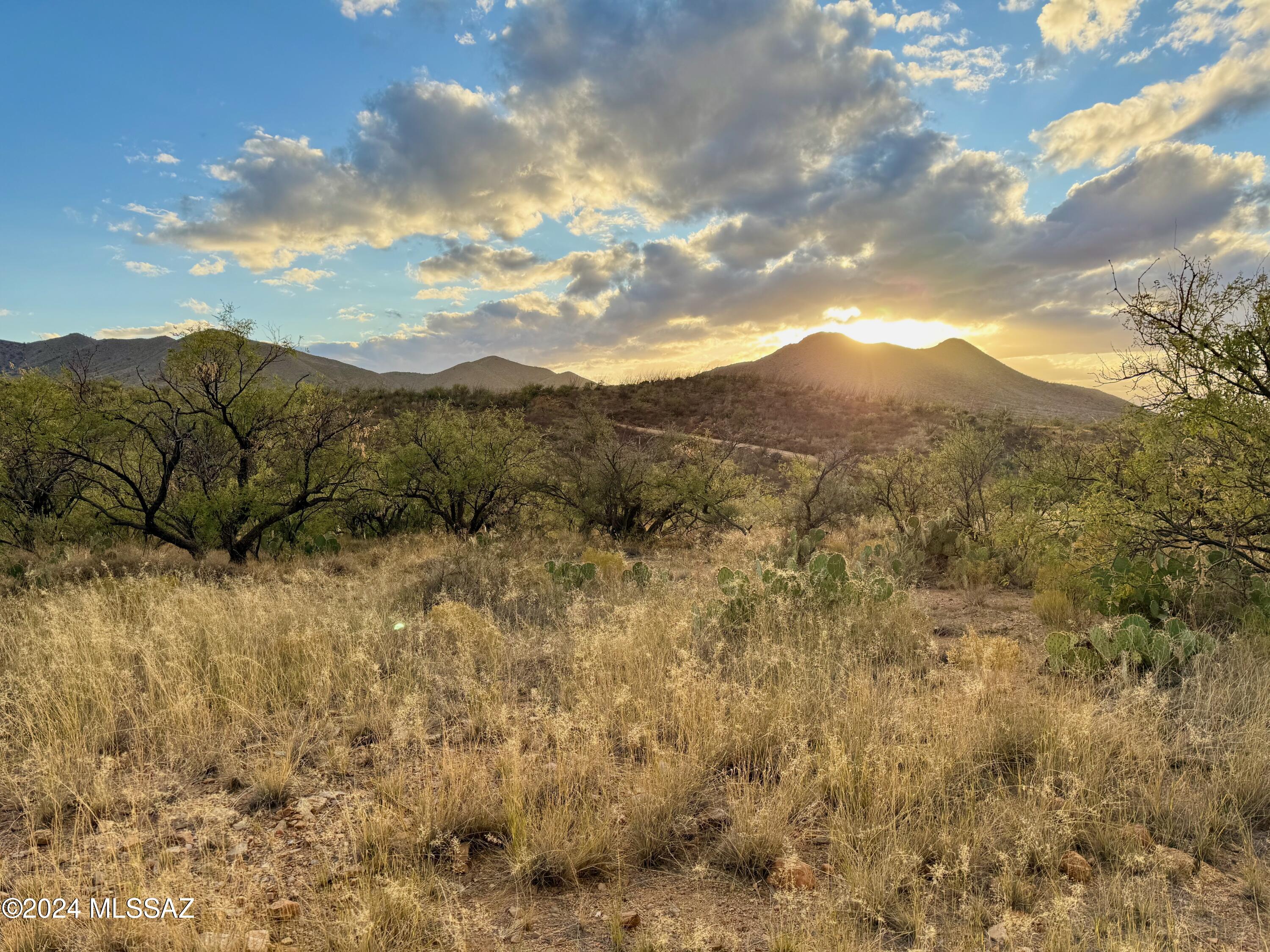 Seller will carry with 20% down, 10% interest for 7 years. Principal & Interest payment would be $1,129 per month at $85,000. Endless Magical Sierrita Mountain Views & nearly 40 acres of land with every type of terrain one could ask for. There are deer that frolic & all the mountain critters all over. The dense vegetation covers the land & creates privacy for the many building spots. This is zoned RH! No HOA! A large Episodic wash flows occasionally for your enjoyment. One of the most beautiful trees on the mountain is on the NW corner of the lot as well. Create your dream homestead! Live off grid. Drill a well or water delivery. Solar or generator, propane, & septic! Use your imagination as this is definitely a place to let it run wild. The sunsets are out of this world! Don't miss out