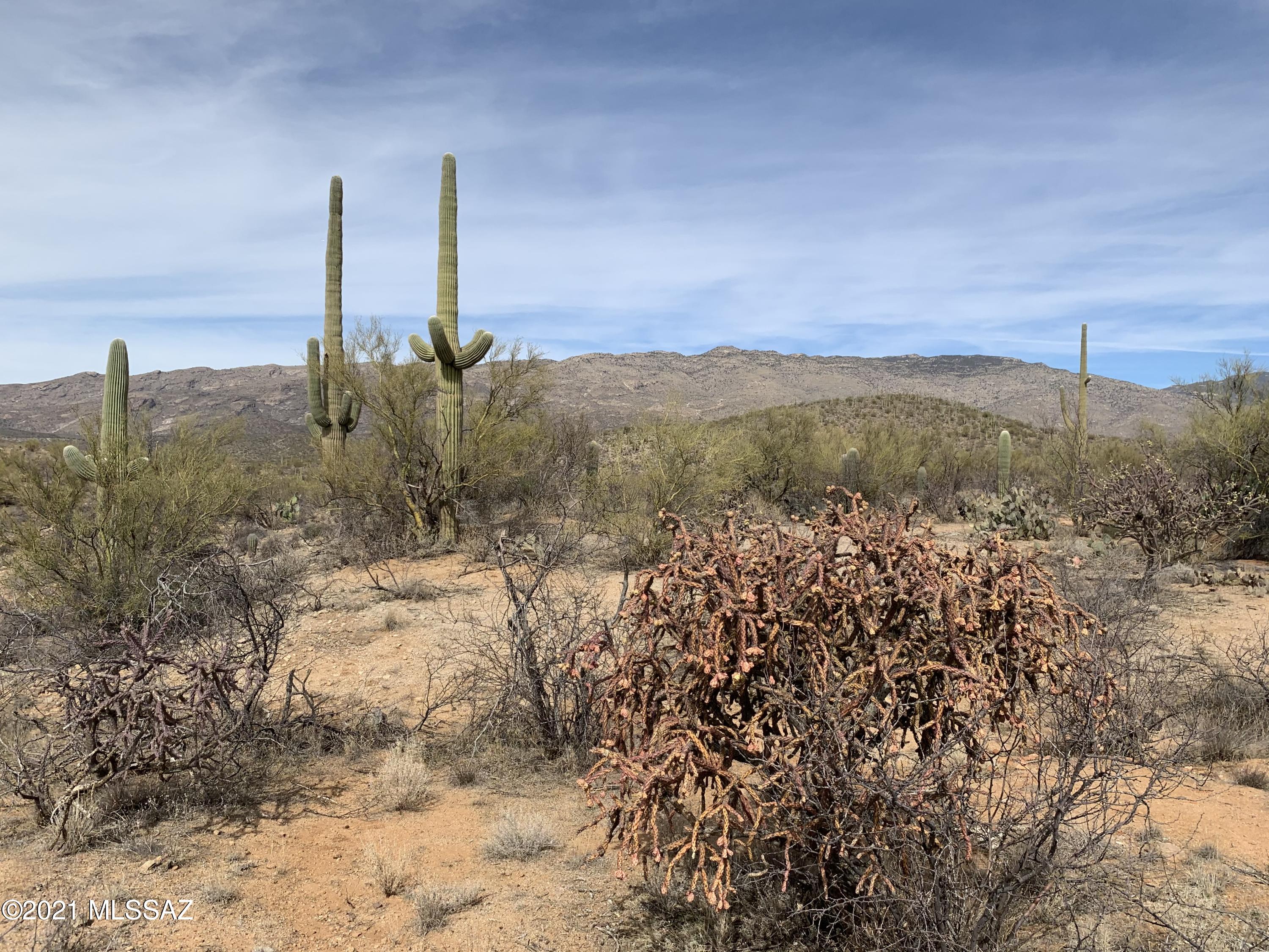 Dramatic home site at the tip of the northern most cul-de-sac in Phase 7a! Generously sized, flat build envelope bounded by canyons on 2 sides! What an amazing opportunity for privacy! Northeast boundary abuts natural common area with endless views to the Rincon Mountains &Coronado Ntl Forest. Giant Saguaros grace the edges of the property. All utilities to the lot line including Cable! Design Guidelines posted in MLS docs. 2300SF house minimum. Subdivision includes 395 luxury homesites on 960 acres! Enjoy untouched open space & an active lifestyle! Community Rec Center w/Tennis, Trails, Parks & Equestrian Center.