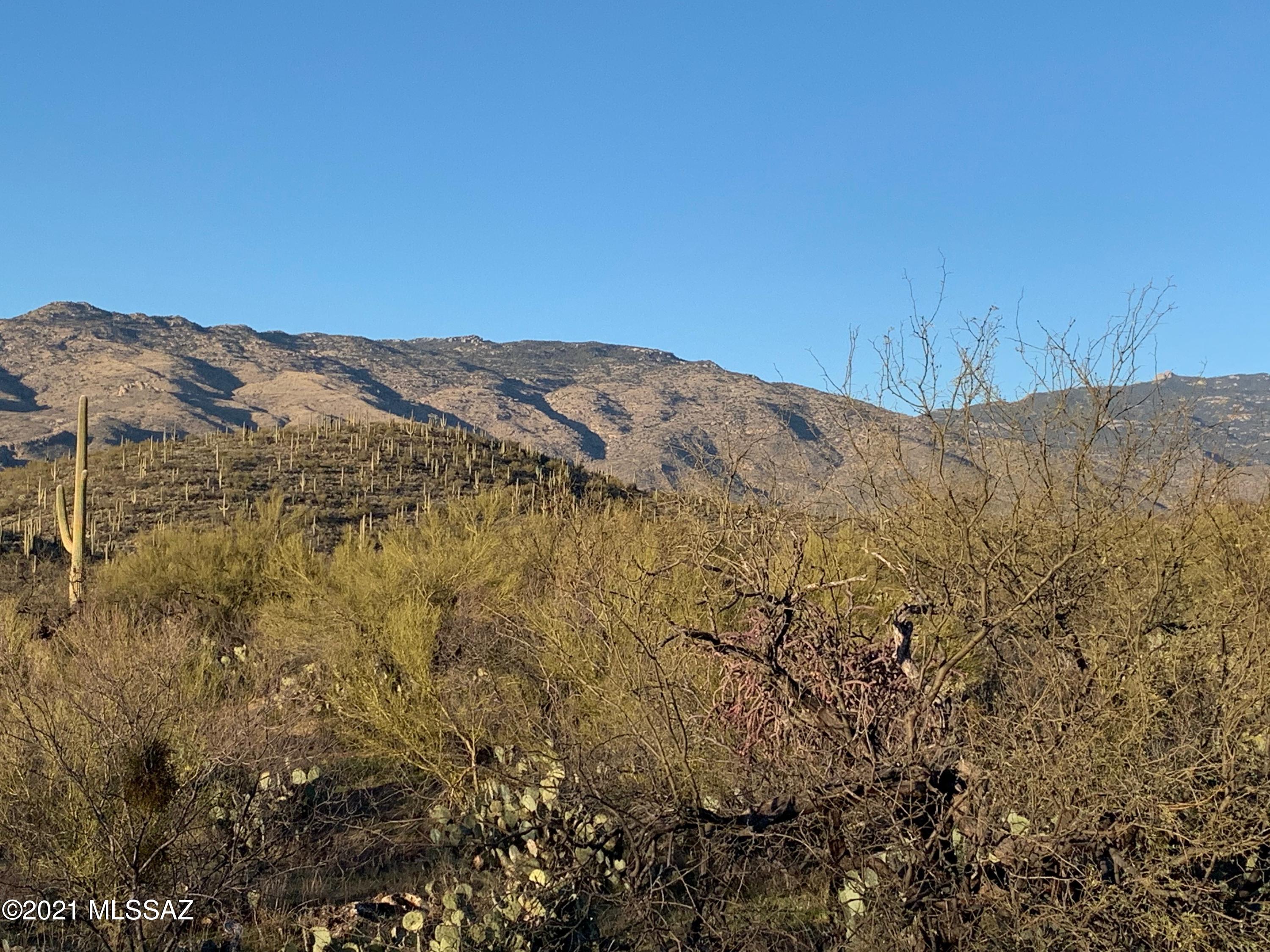 Coyote Creek (1-395) - Land