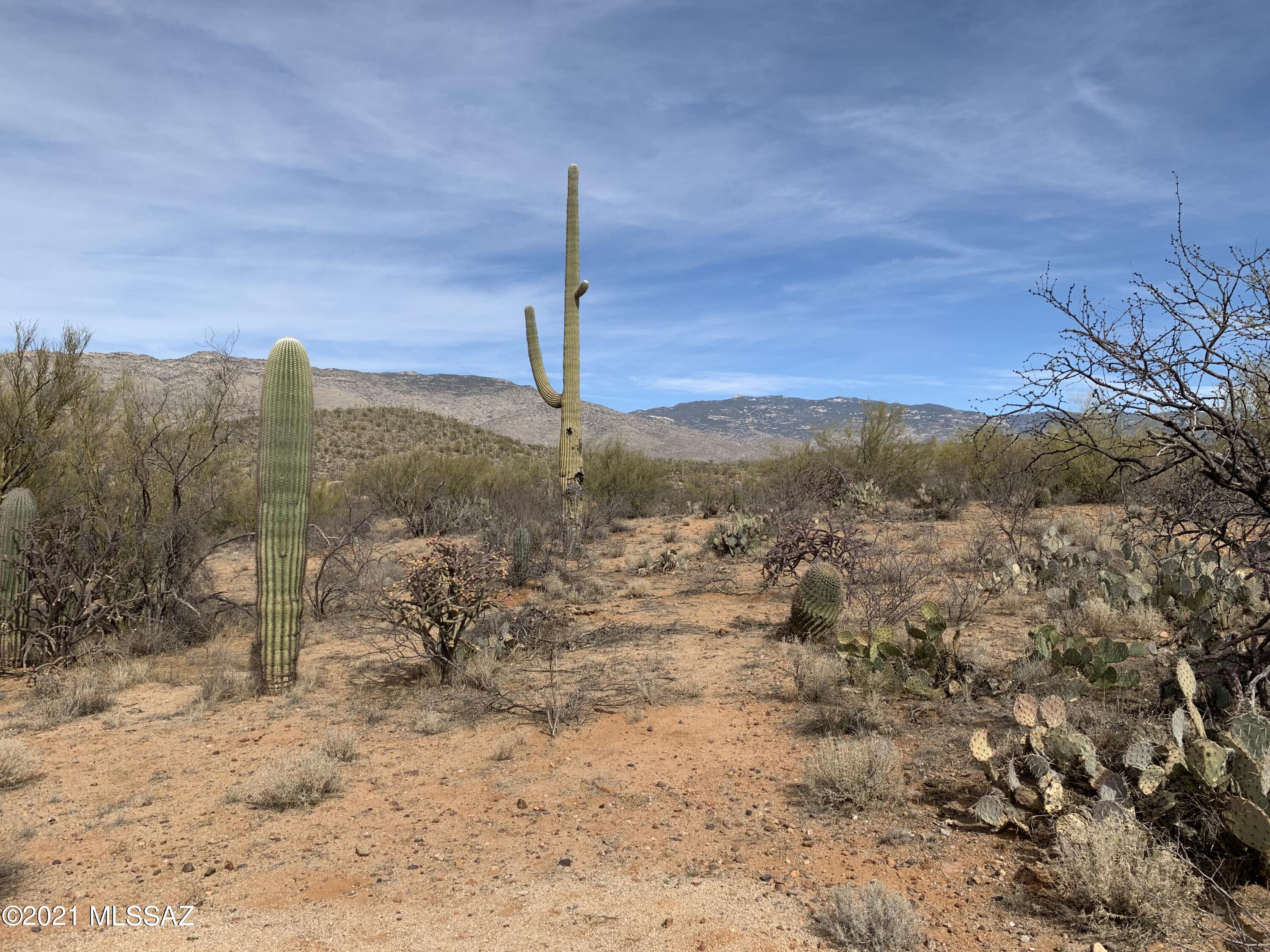 Coyote Creek (1-395) - Land