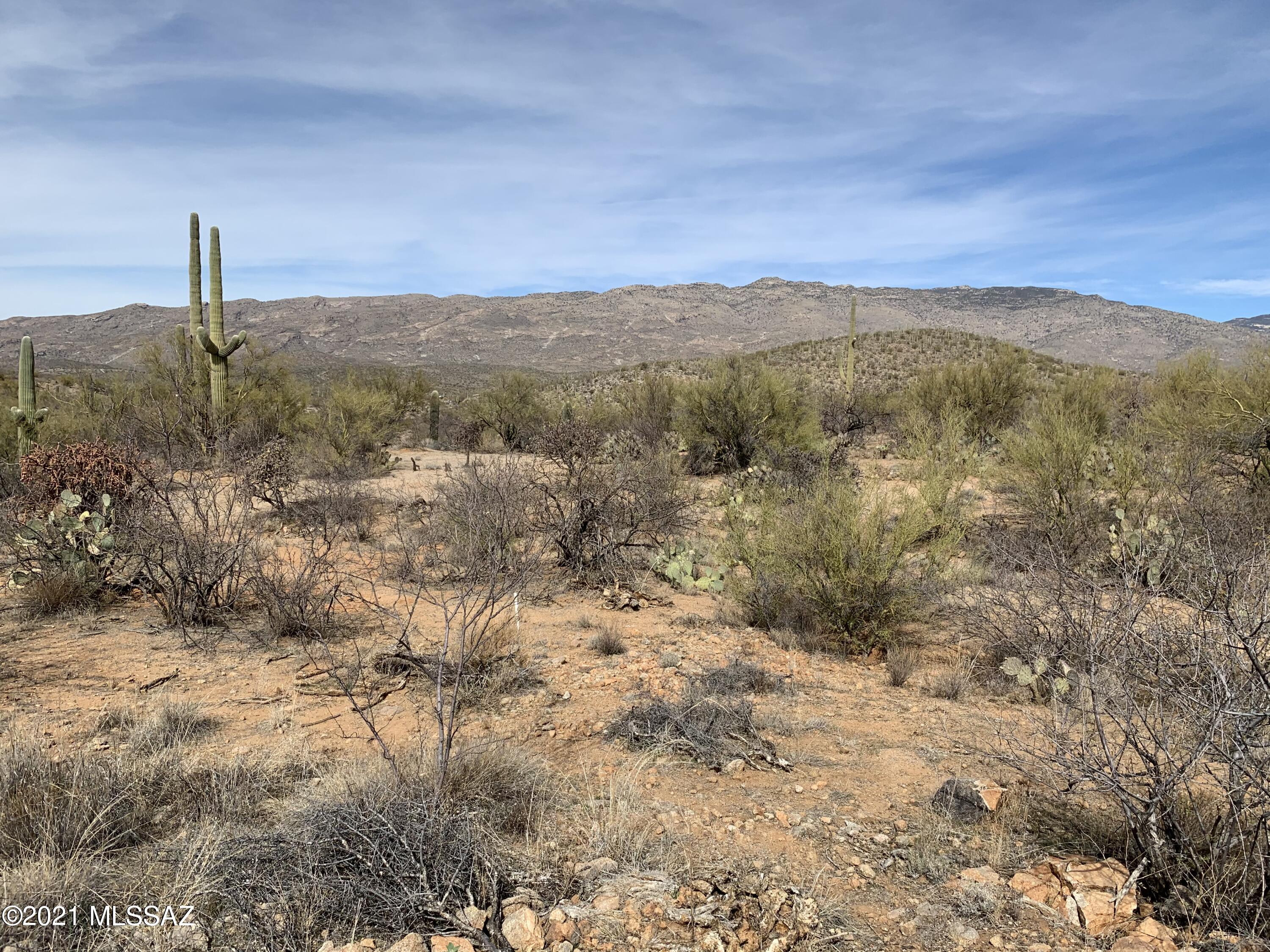 Coyote Creek (1-395) - Land