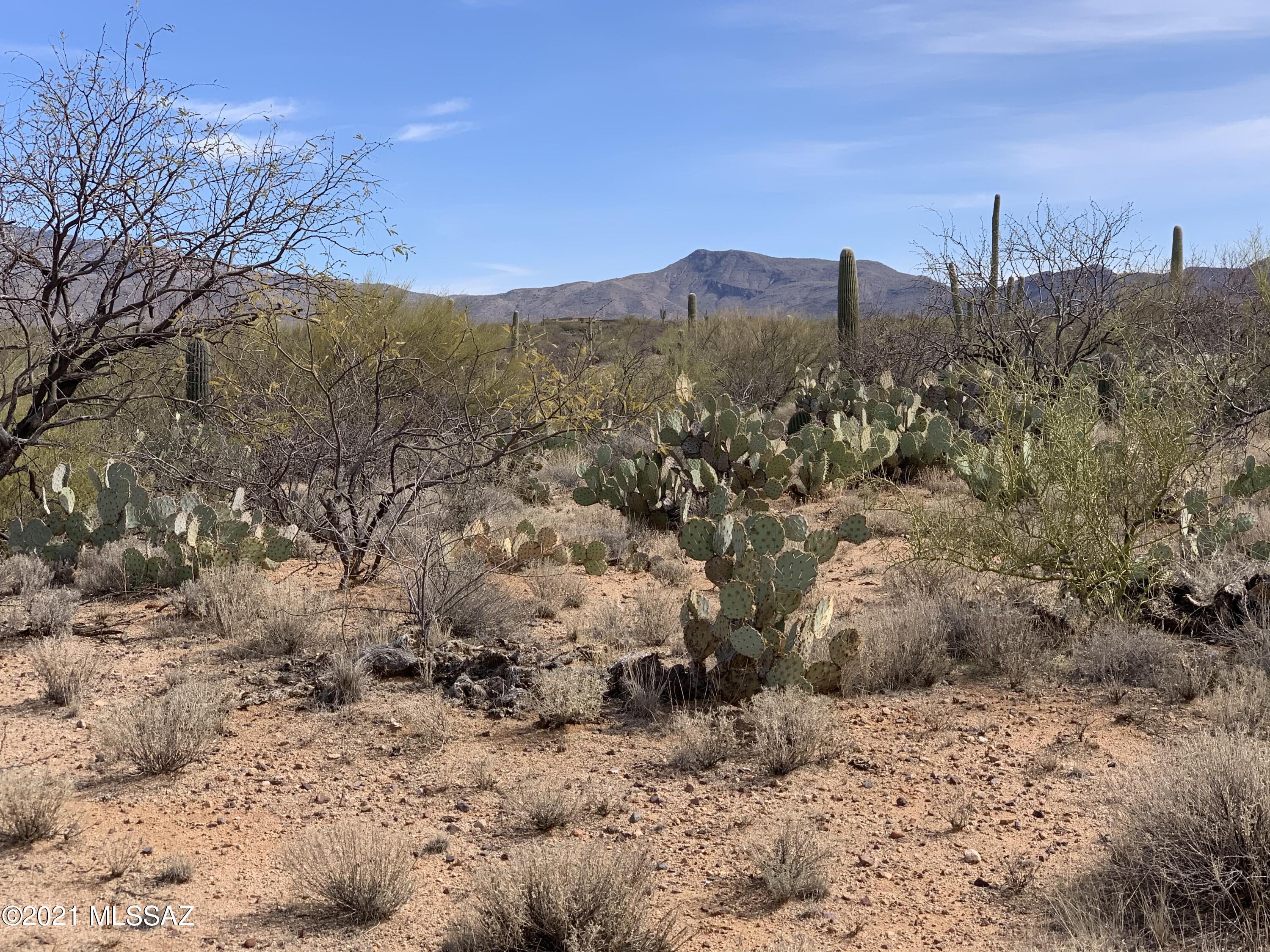 Coyote Creek (1-395) - Land