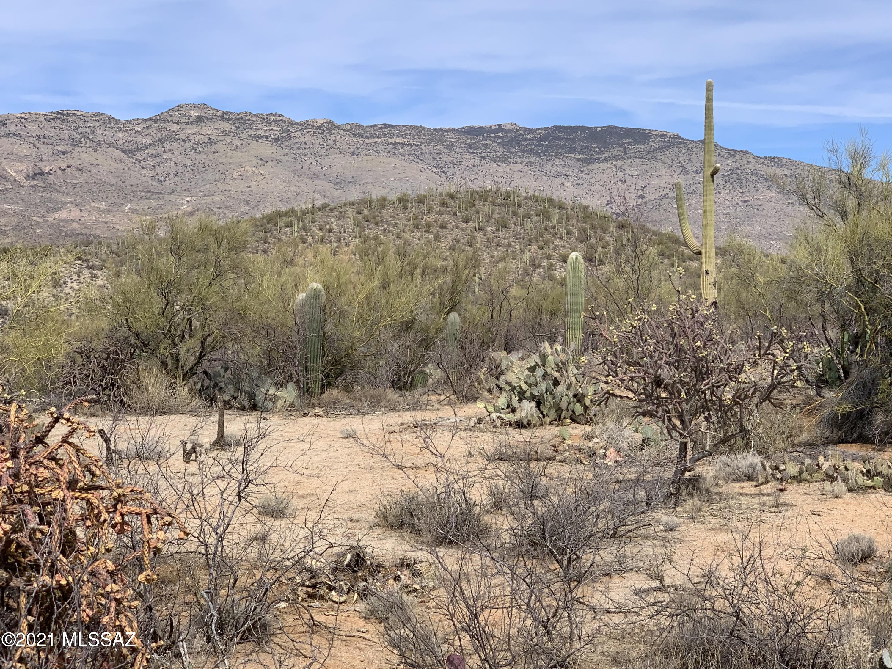 Coyote Creek (1-395) - Land