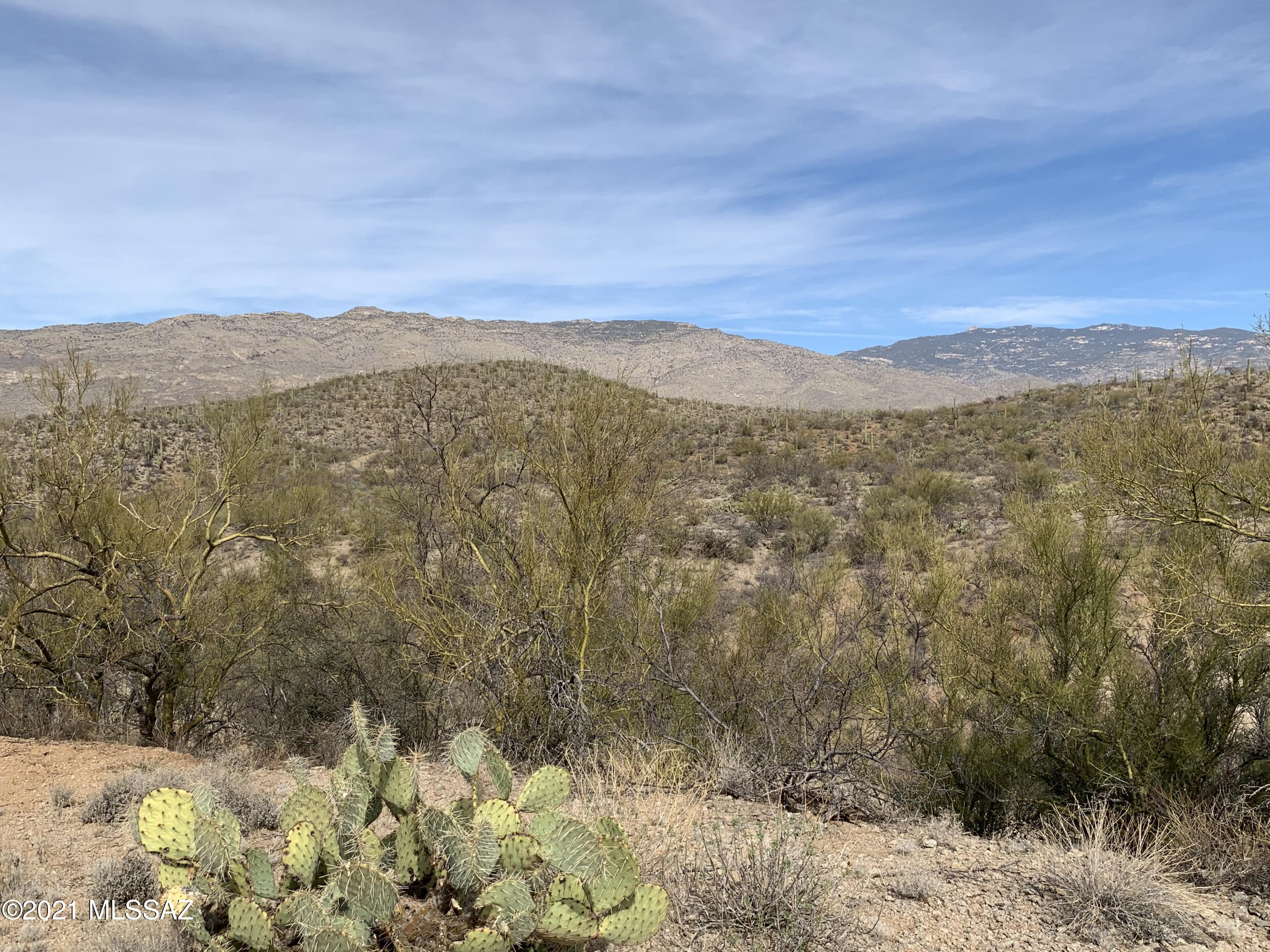 Coyote Creek (1-395) - Land