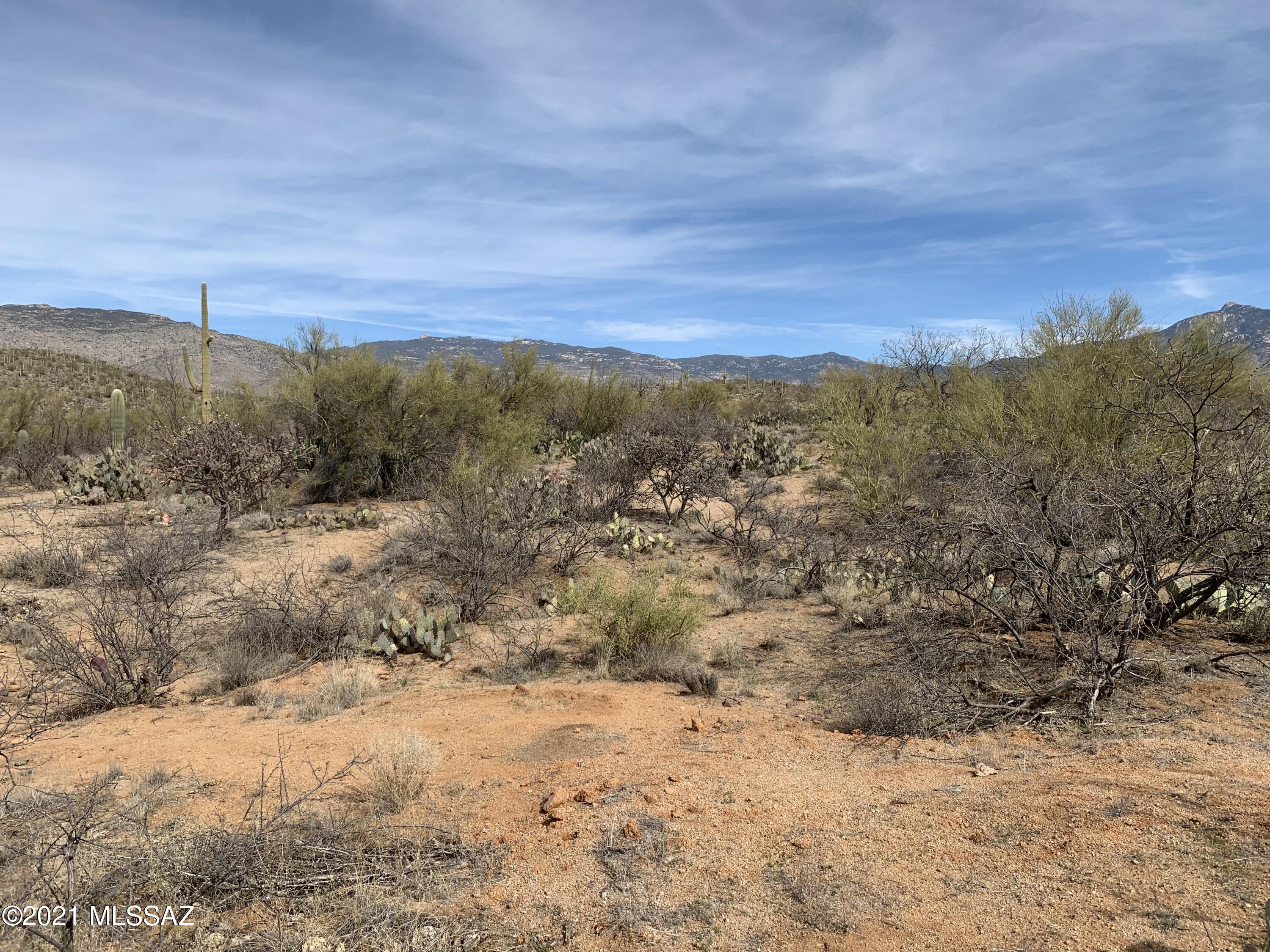 Coyote Creek (1-395) - Land