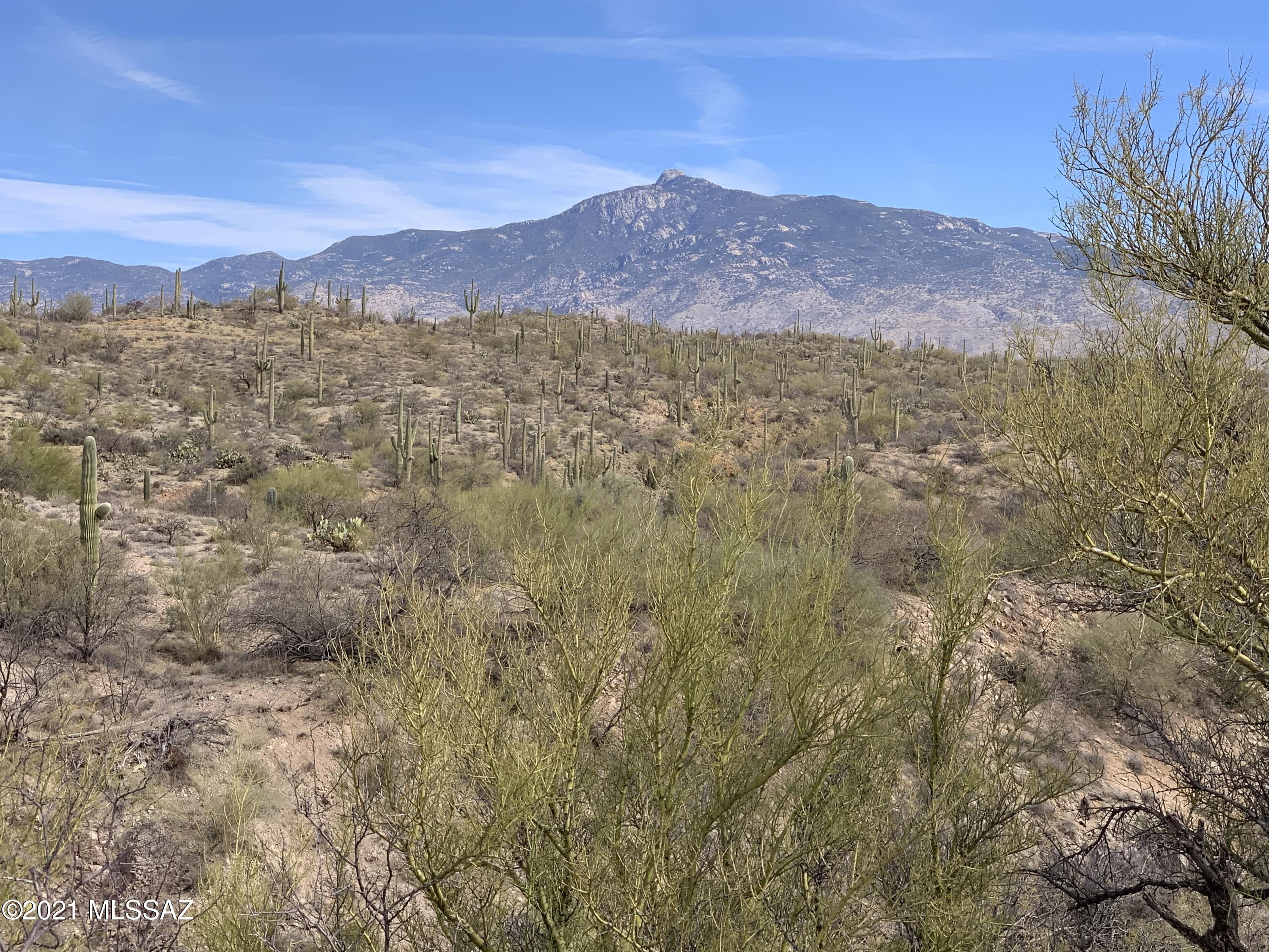 Coyote Creek (1-395) - Land