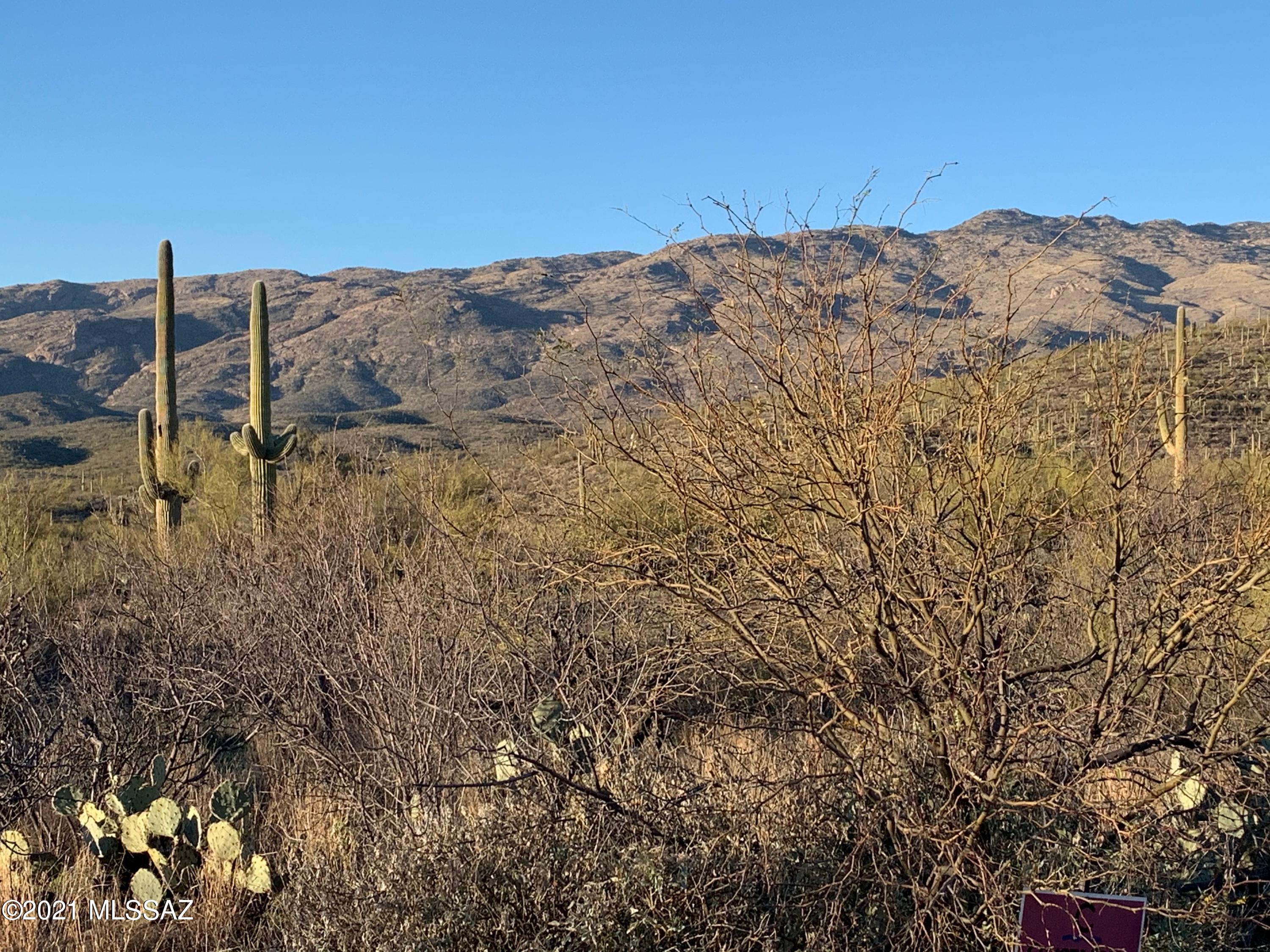Coyote Creek (1-395) - Land