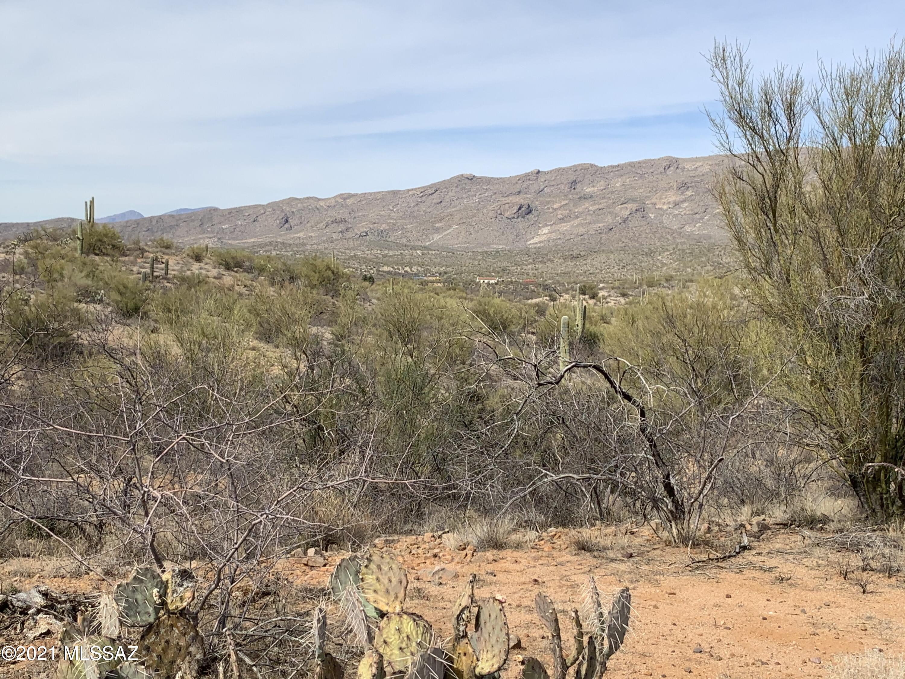 Coyote Creek (1-395) - Land