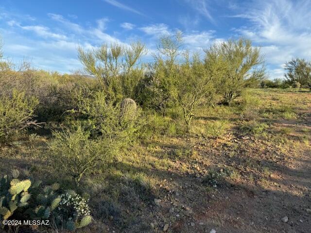 Diamond Bell Ranch - Tucson Unit 11 (1-448) - Land