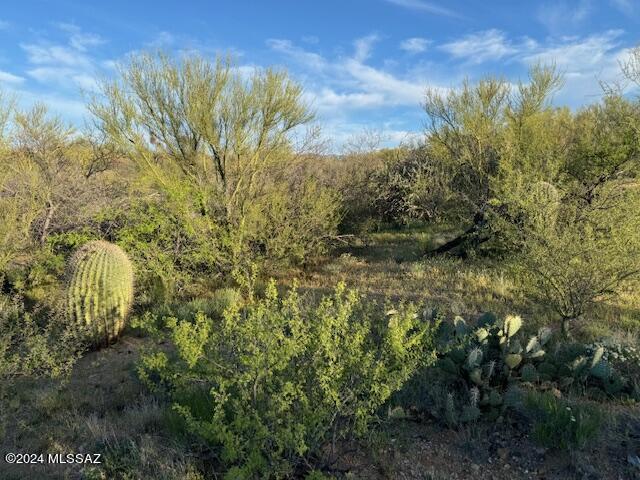Diamond Bell Ranch - Tucson Unit 11 (1-448) - Land