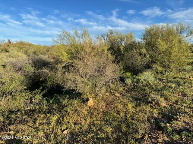 Diamond Bell Ranch - Tucson Unit 11 (1-448) - Land