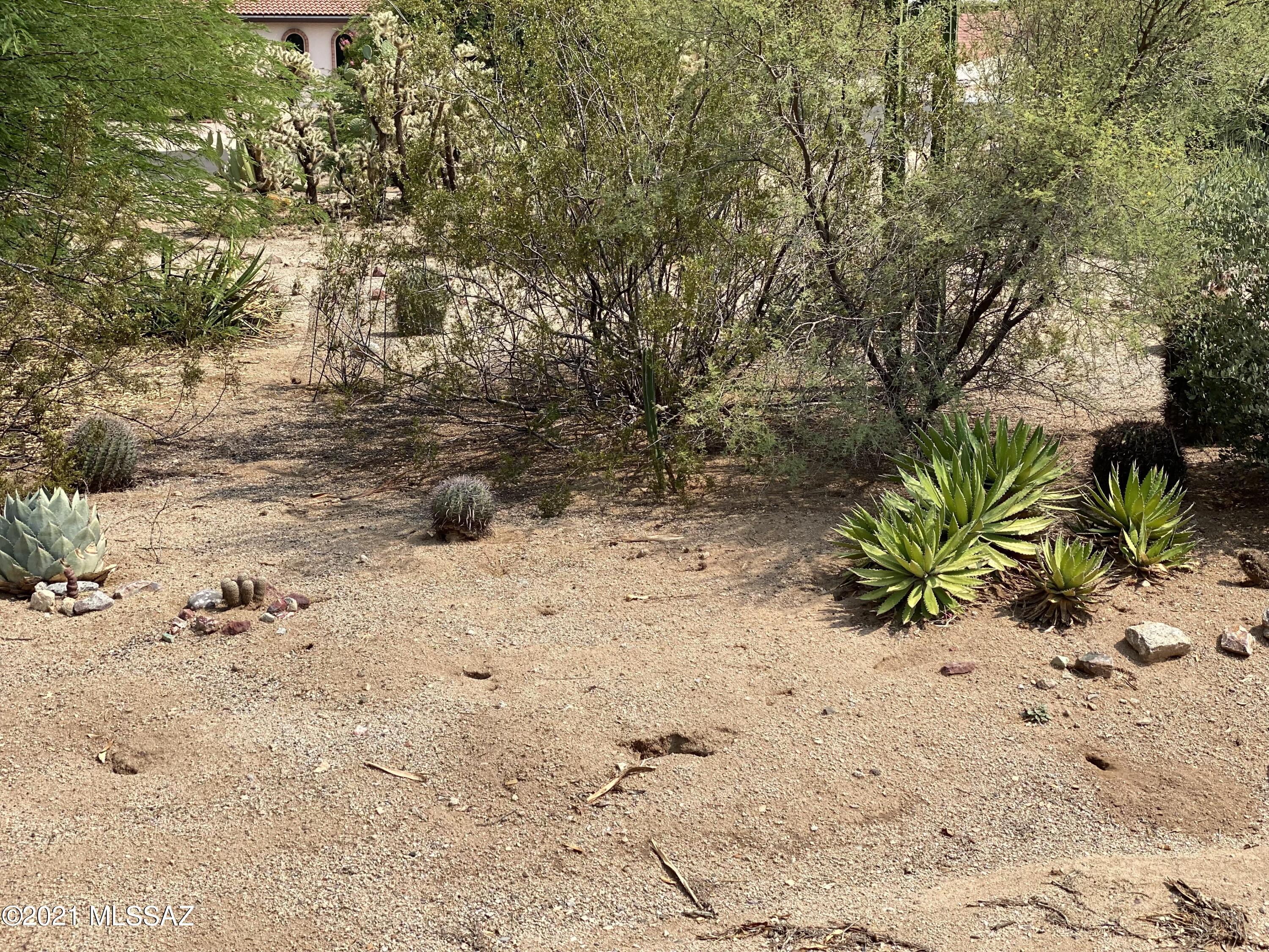 Green Valley Country Club Vistas(1-229) - Land