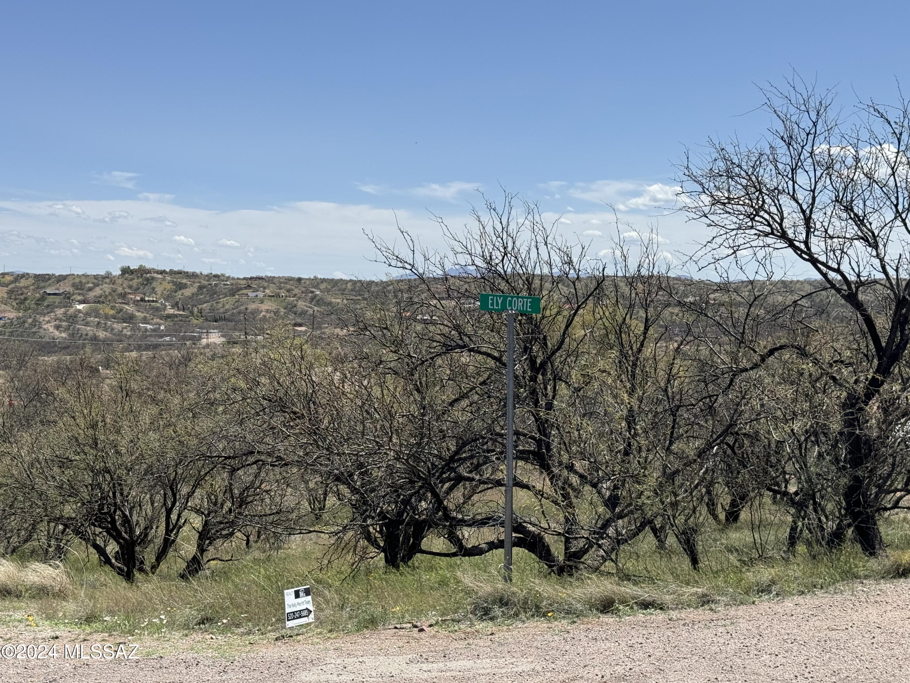 Rio Rico Estates 13 - Land