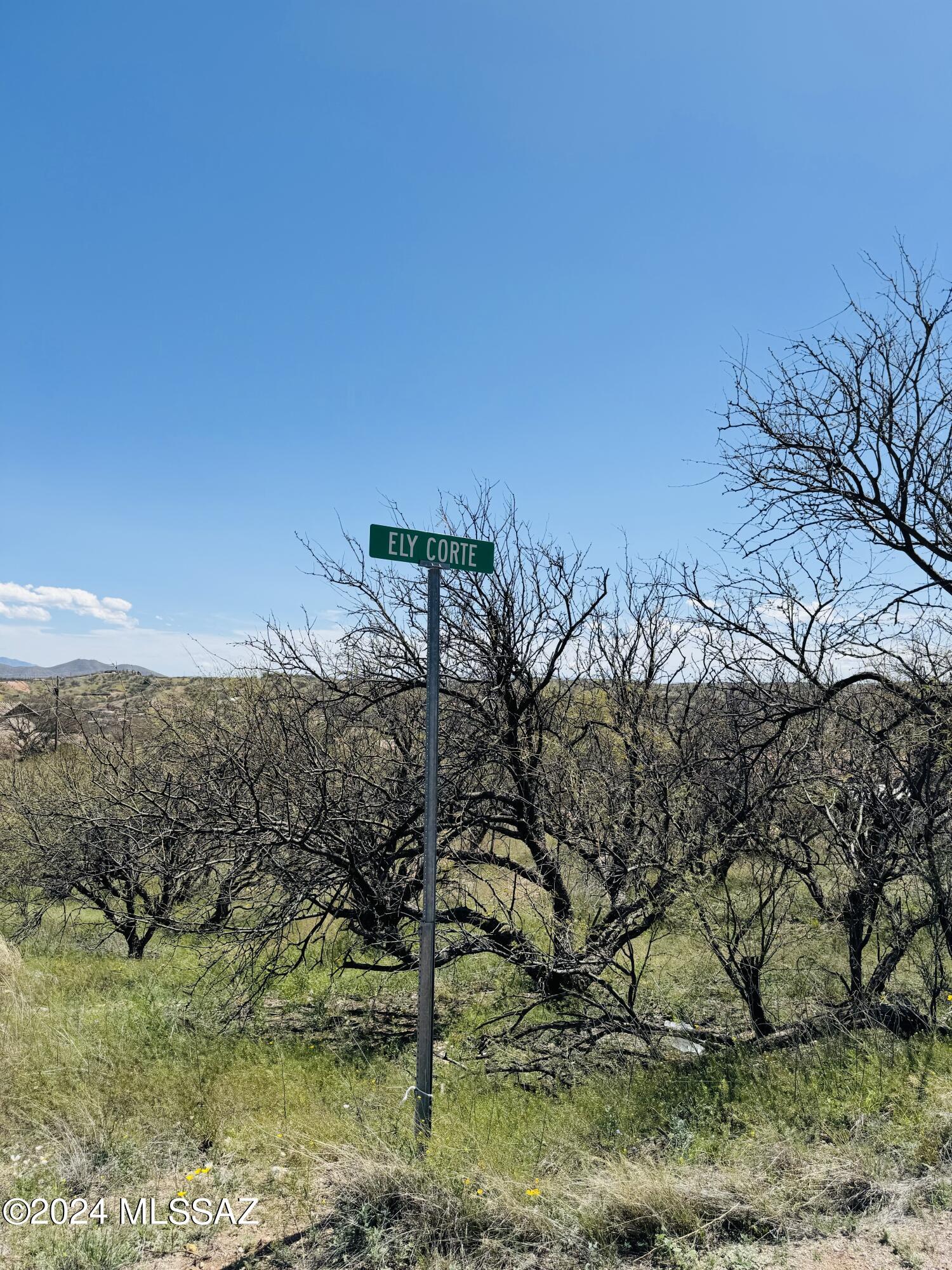 Rio Rico Estates 13 - Land