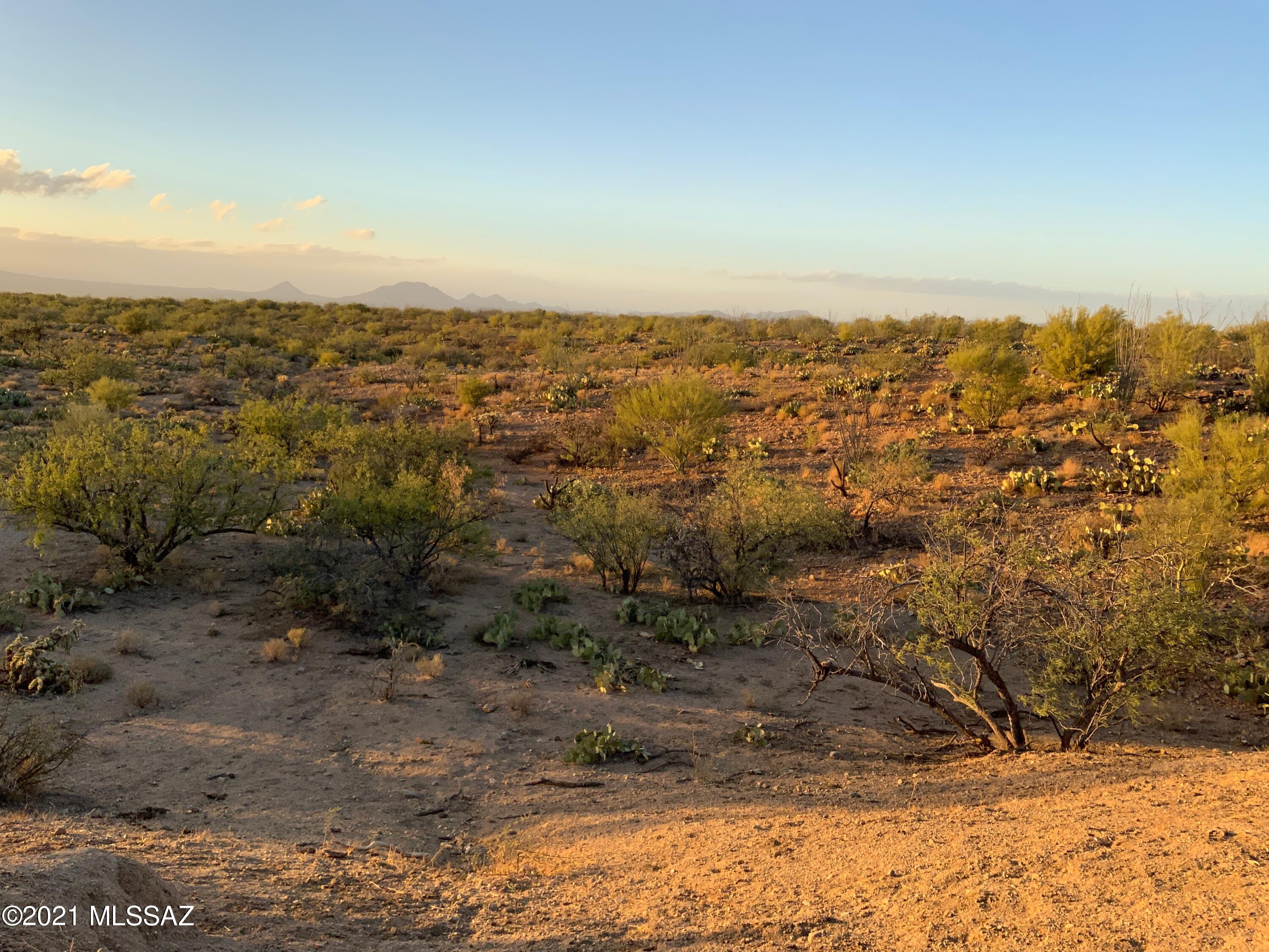 Diamond Bell Ranch - Tucson Unit 13 (1-216) - Land