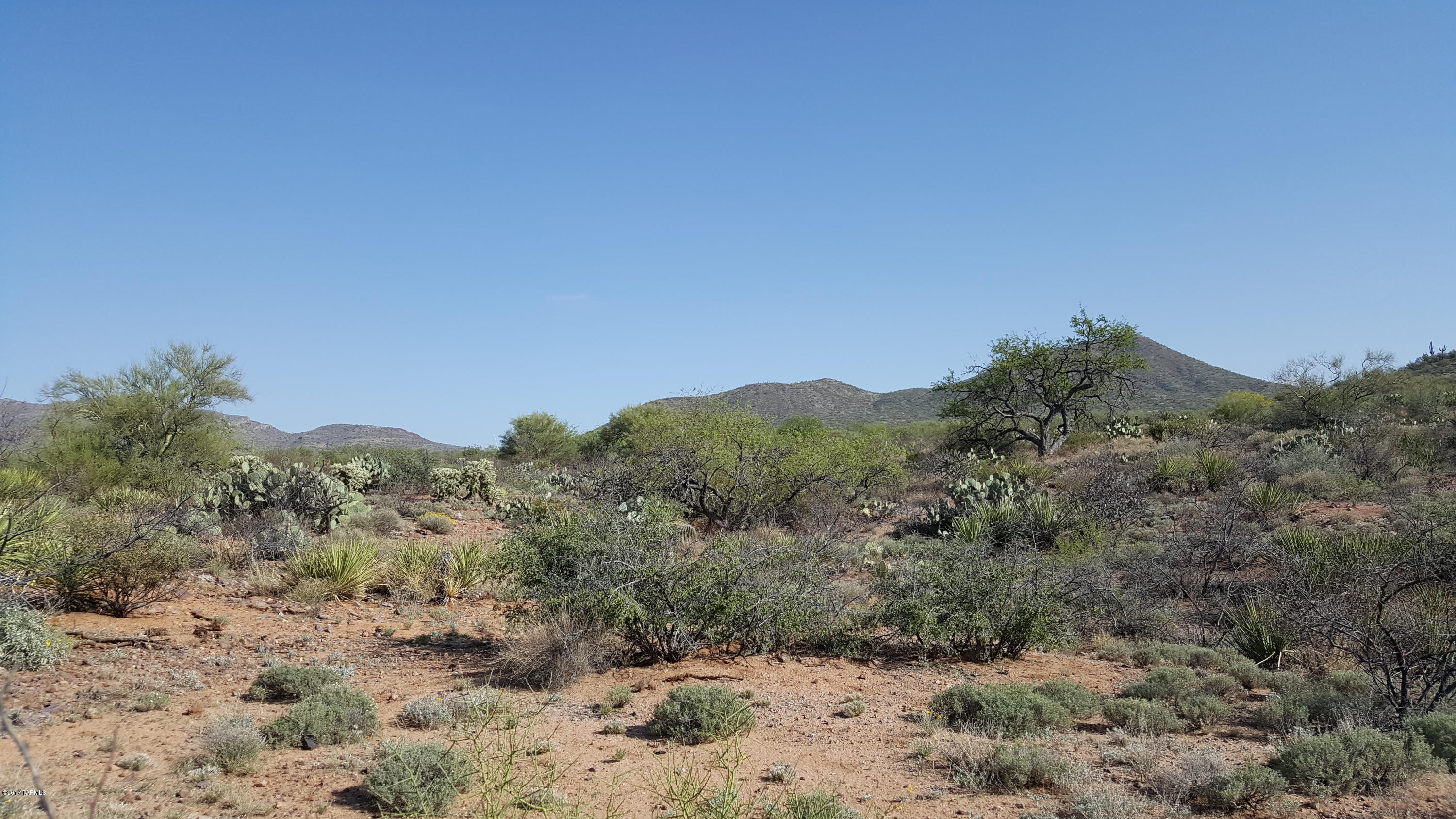 Mountain Creek Ranch (1-64) - Land