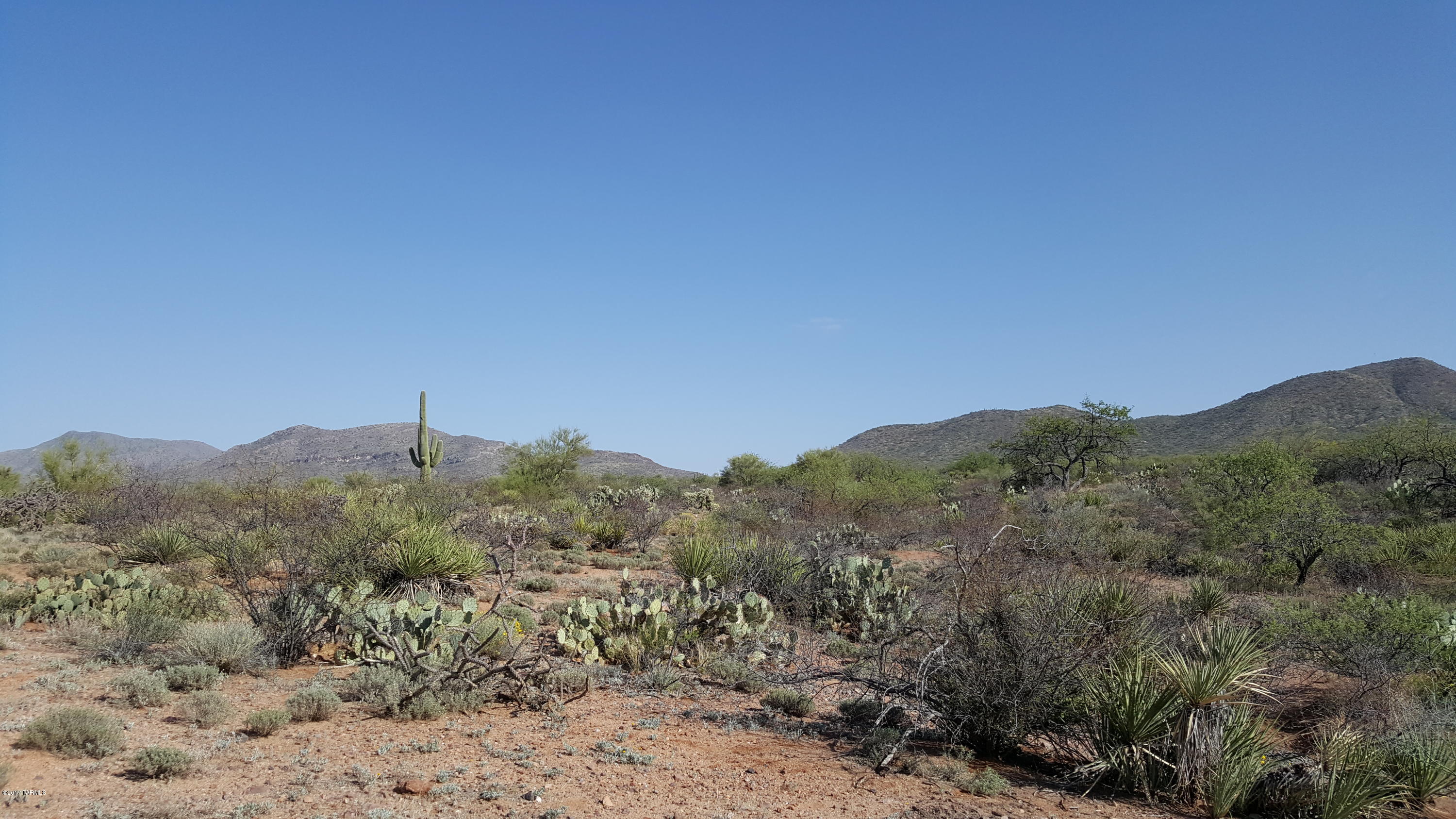 Mountain Creek Ranch (1-64) - Land