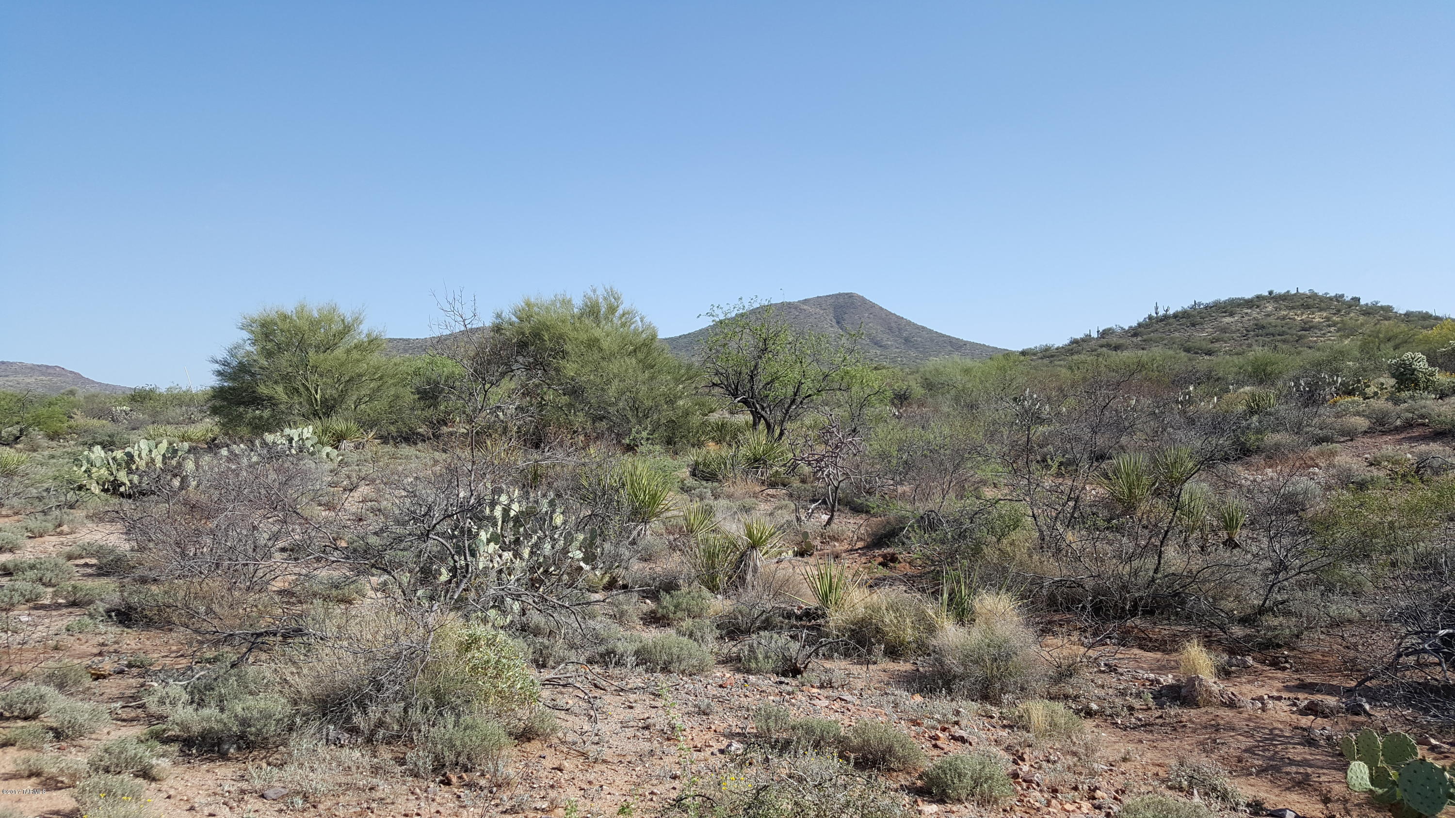 Mountain Creek Ranch (1-64) - Land