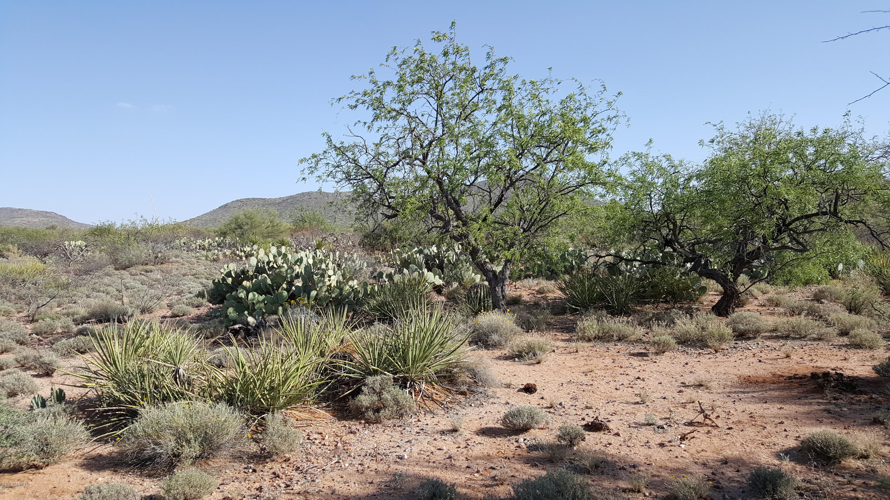Mountain Creek Ranch (1-64) - Land