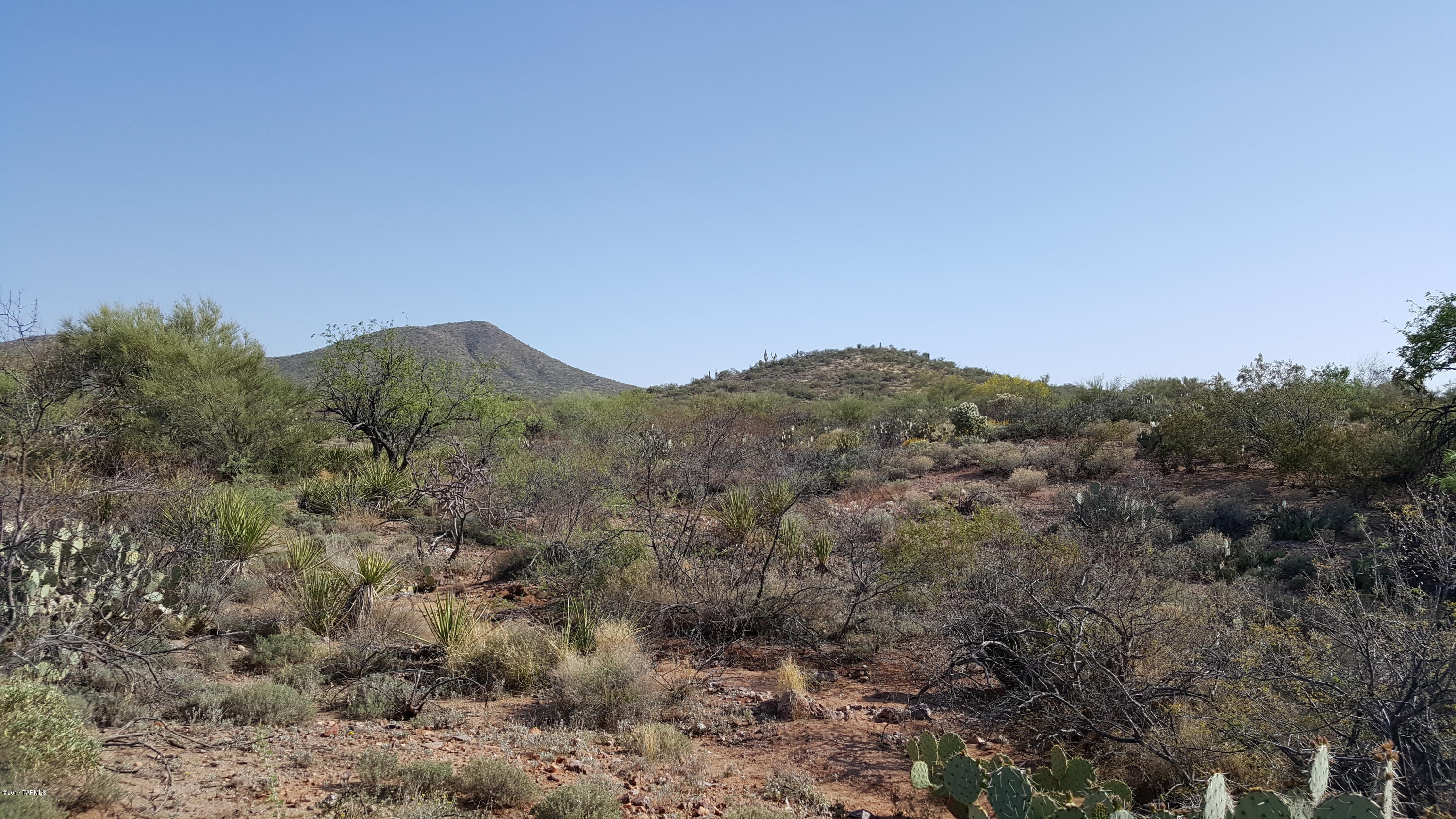 Mountain Creek Ranch (1-64) - Land