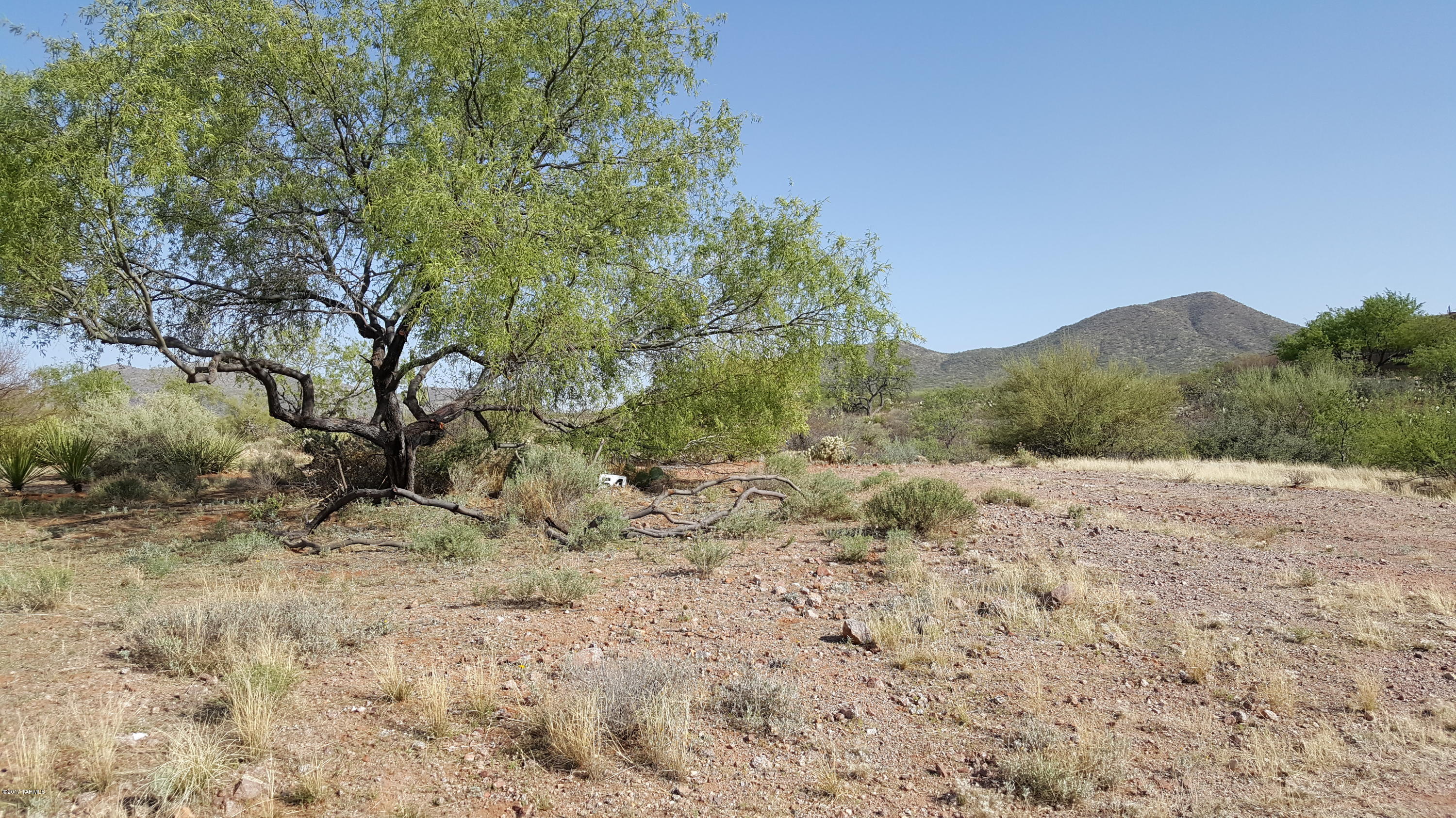 Mountain Creek Ranch (1-64) - Land
