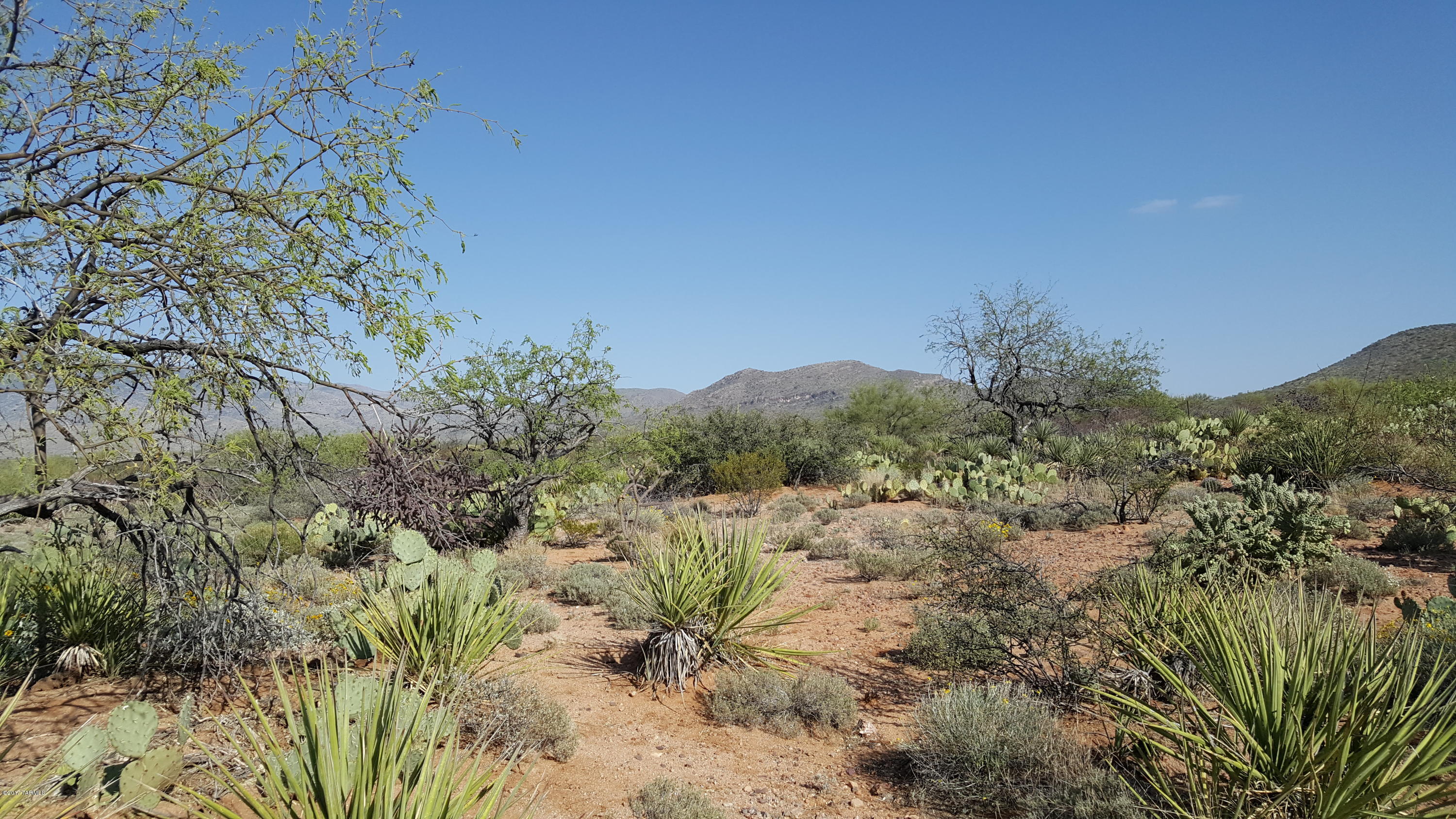 Mountain Creek Ranch (1-64) - Land