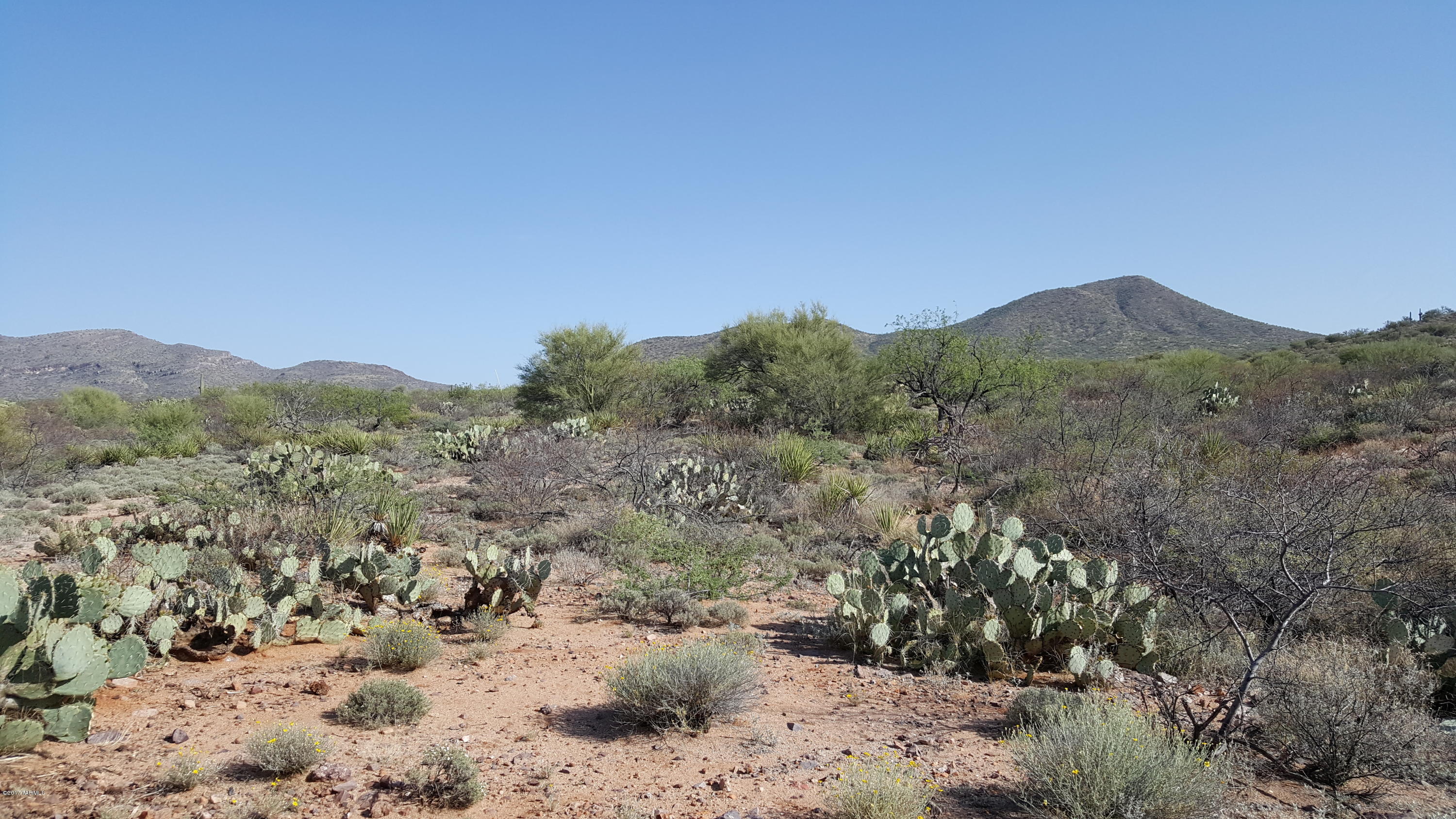 Country Living at it's best!!  Gorgeous build site on back S/E portion of this beautiful lot. Build your dream home here & enjoy breathtaking panoramic mountain views, city lights, majestic sunsets & privacy! Home can be placed so backyard has  majestic N/E mountain views. Lot backs up to State Land for added privacy & wildlife visits. Lush vegetation on lot. Located in the sought after Rincon Valley which is home to Sahuaro National Monument, Colossal Cave, Rancho Del Lago Golf Course & award winning Vail schools!